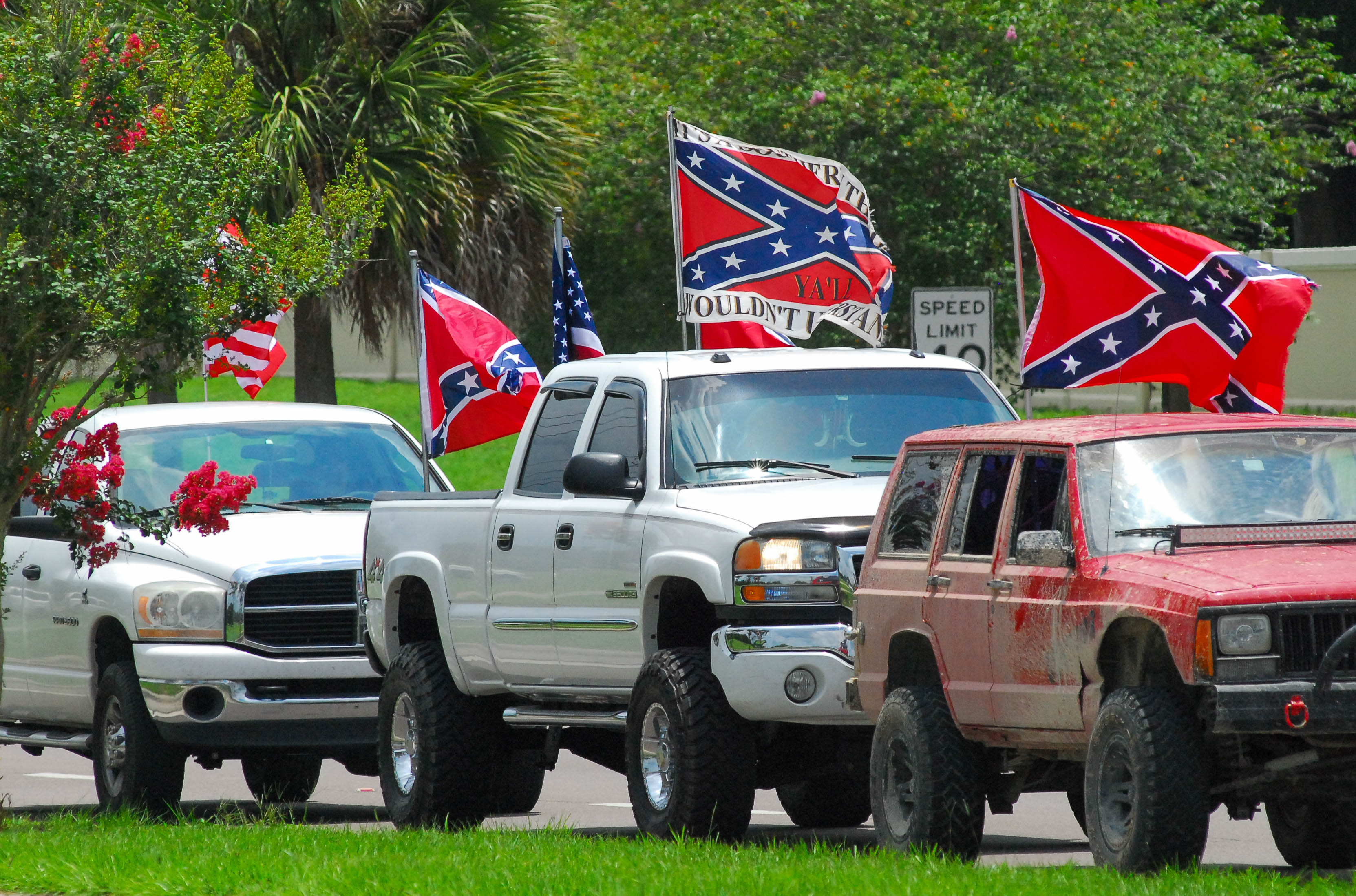 With Confederate Flag License Plate Numbers