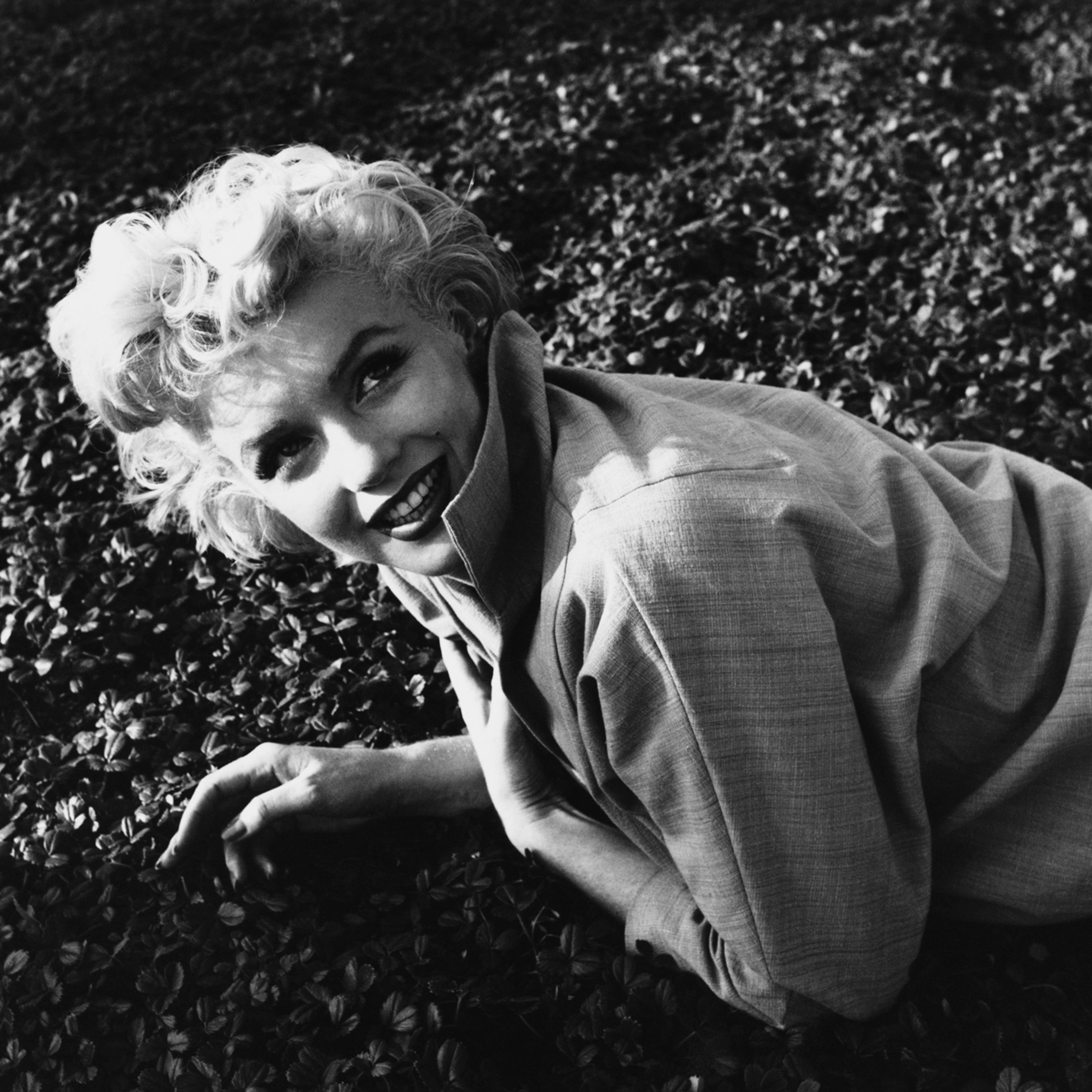 Marilyn Monroe, 1954