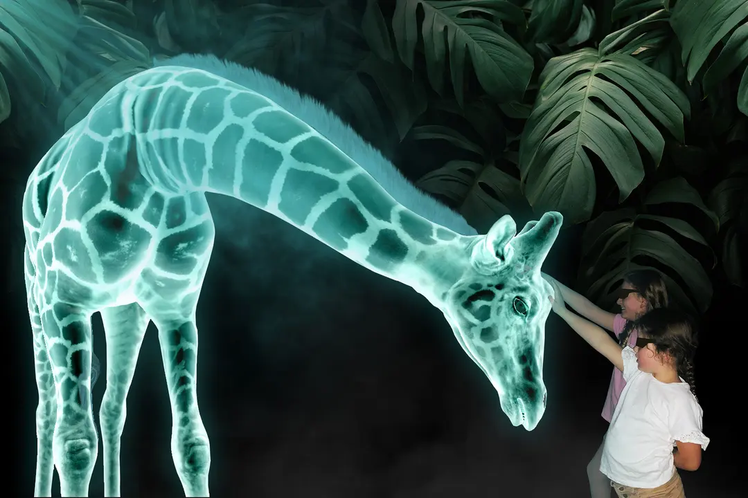 TIME Magazine Best Inventions of 2023 — Hologram Zoo Illinois