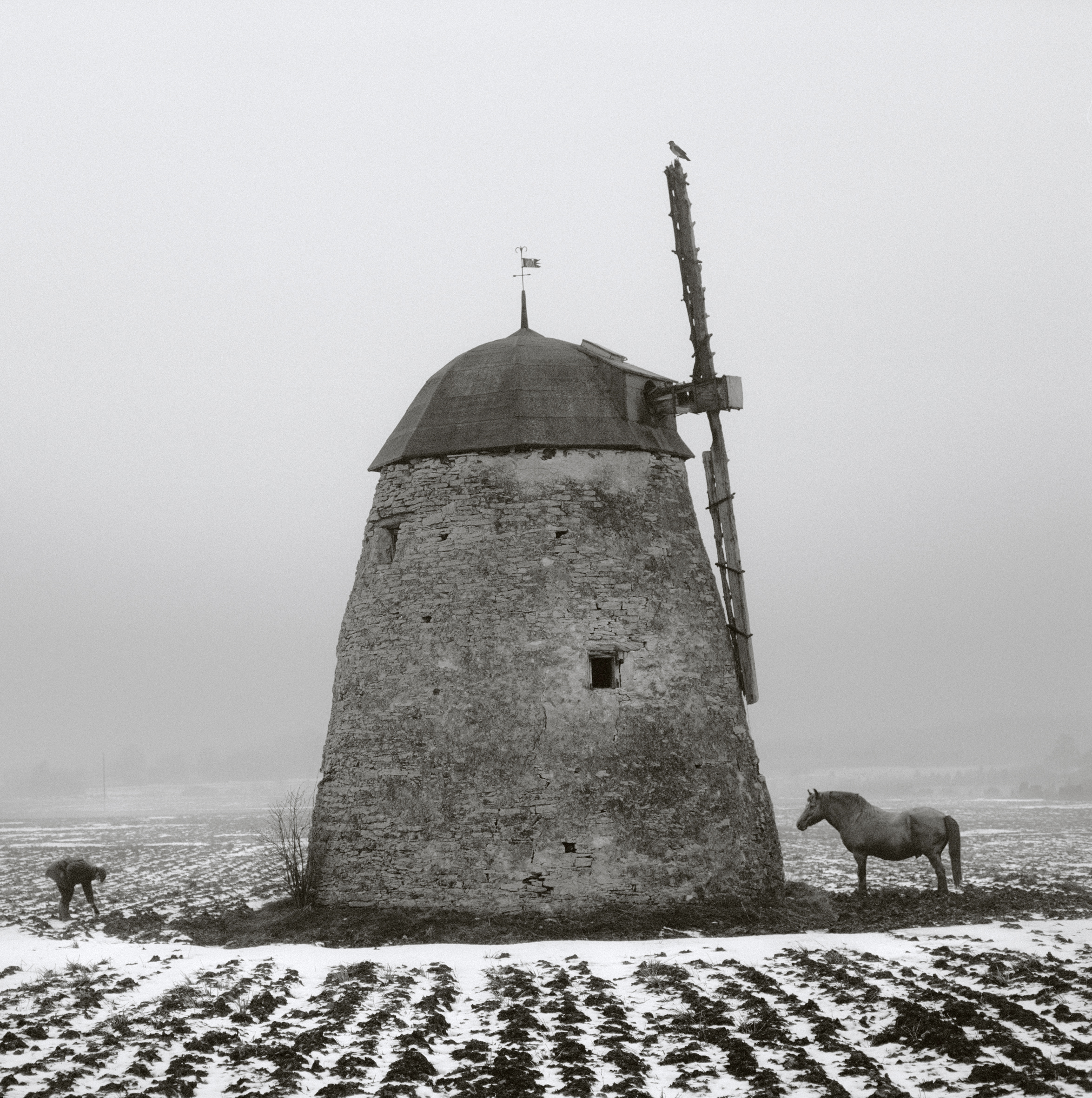 Here Far Away: The Visual Fables of Pentti Sammallahti