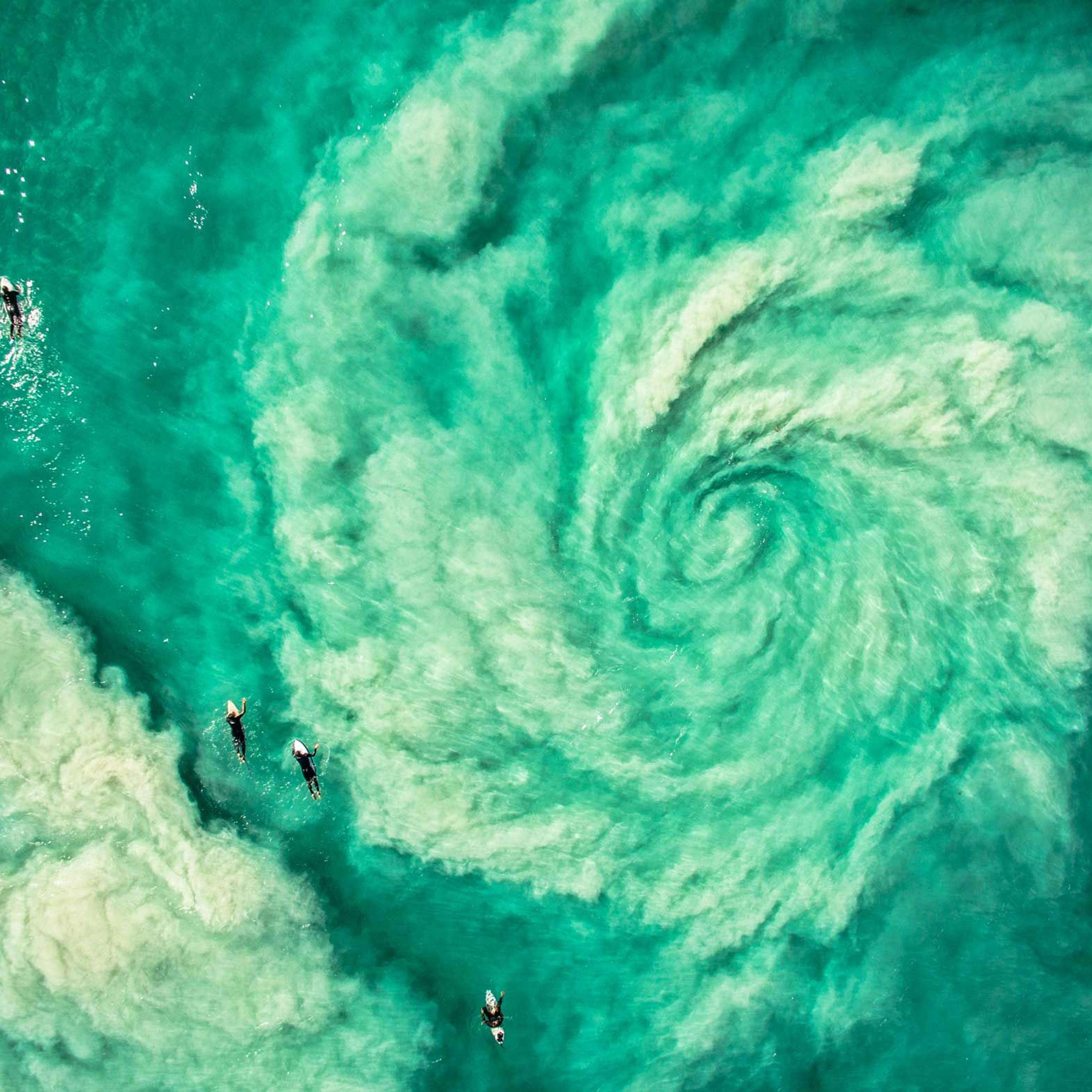 Surfers avoiding the hurricane rip in Western Australia.
