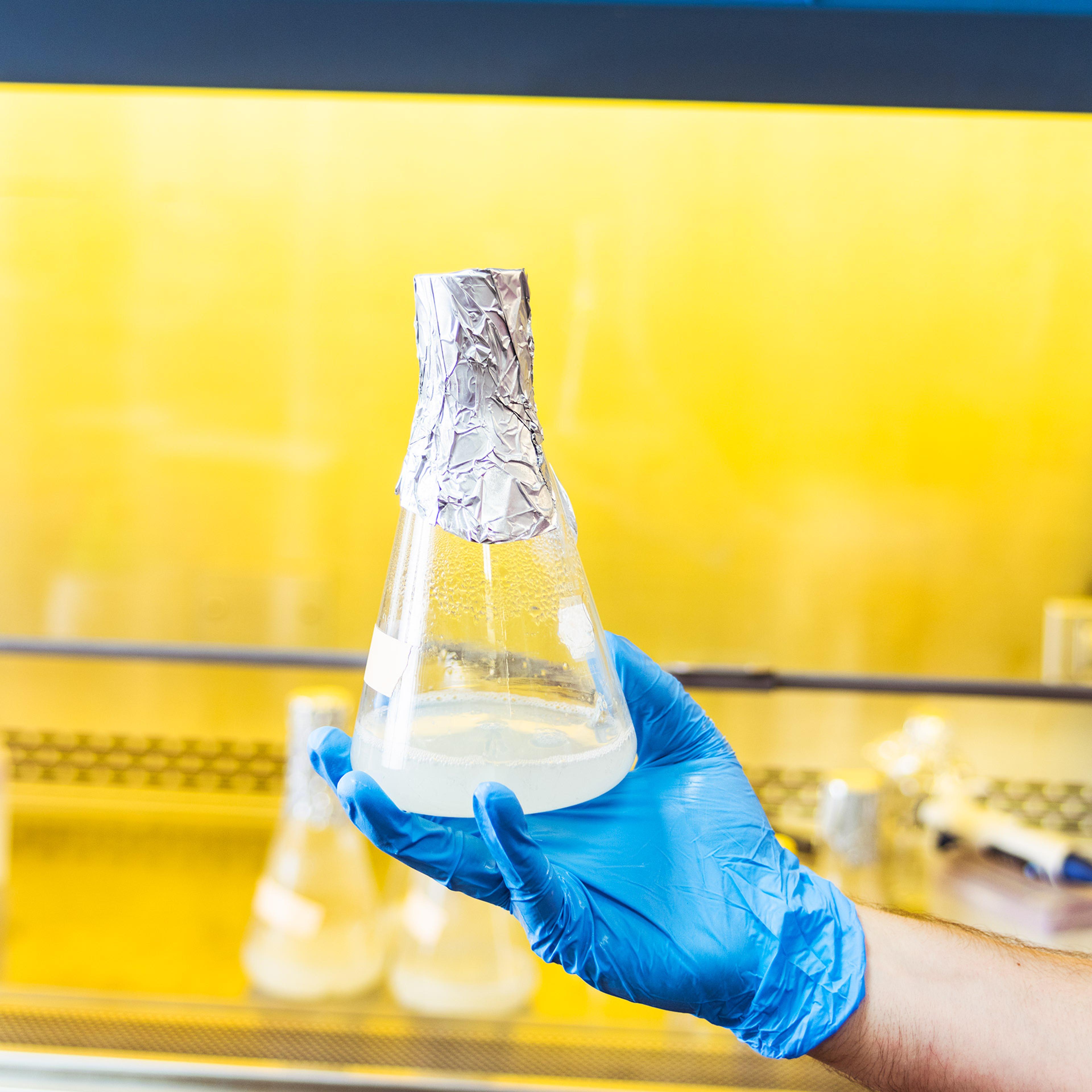 Open Insulin Project head scientist, Yann Huon de Kermadec works with yeast at the Omni Commons Counter Culture Labs in Oakland, CA. Images by Cayce Clifford