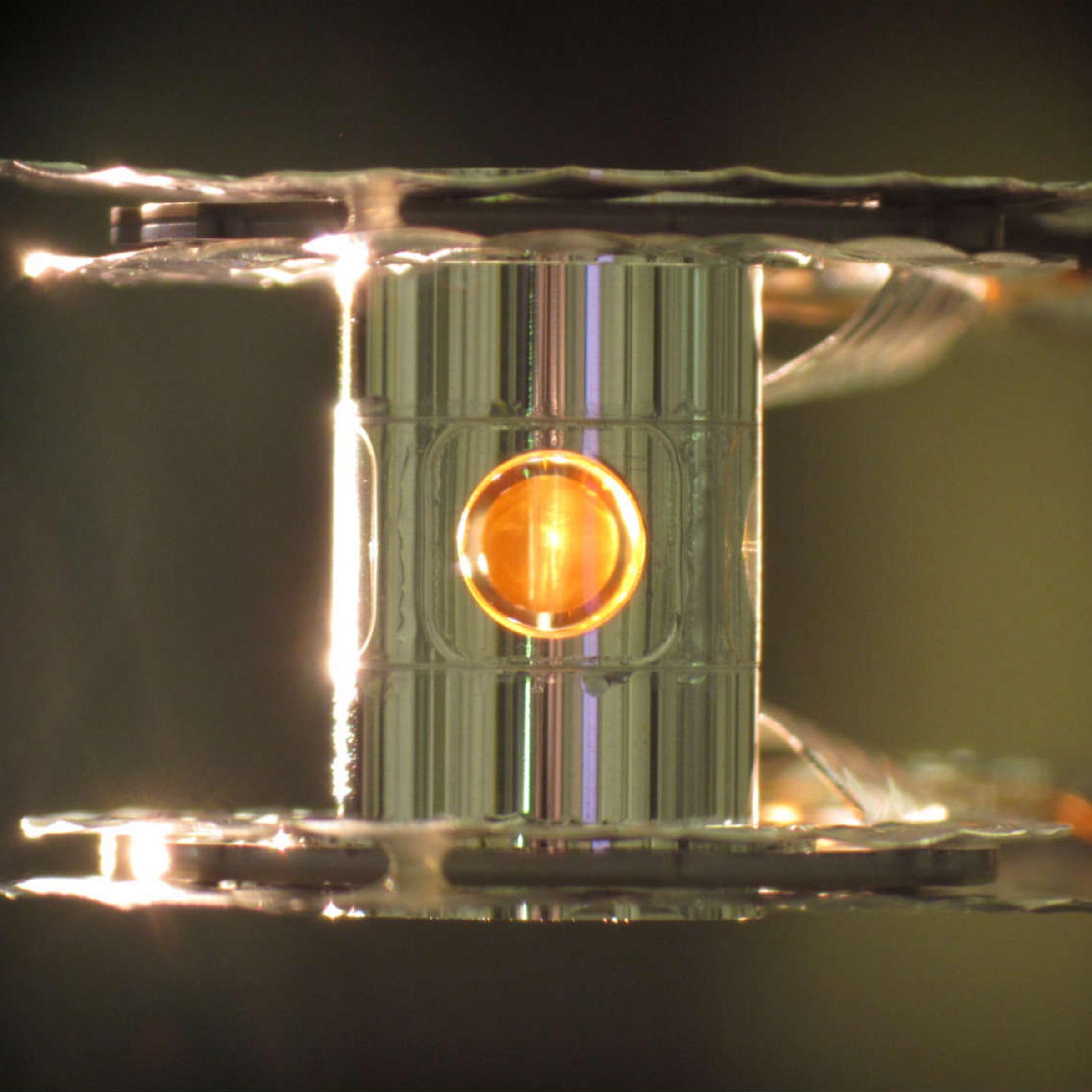 Fusion capsule
