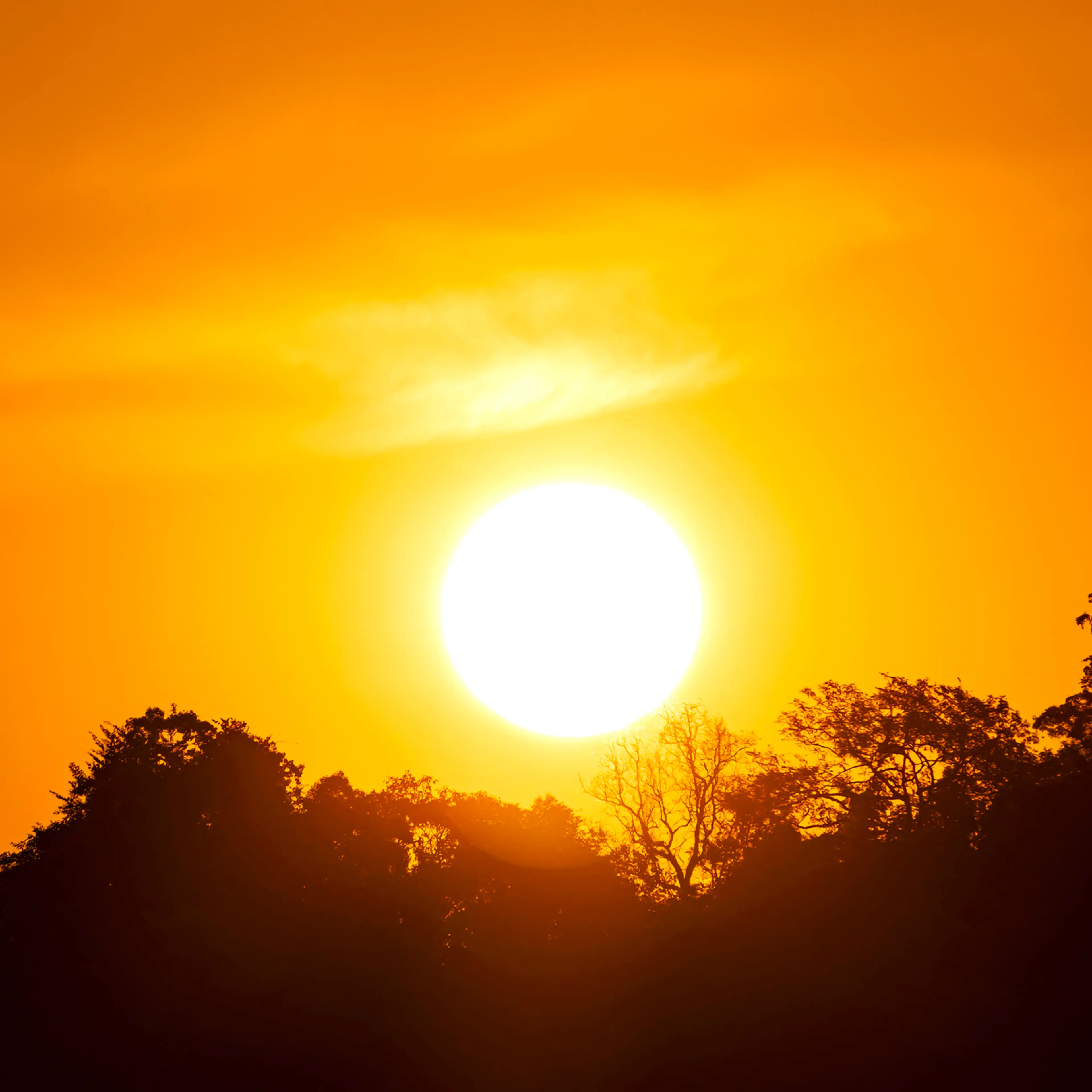 Heatwaves hot sun, Heat stroke, Solar Storms, Global warming from the Sun, and Burning, Climate change, Global boiling