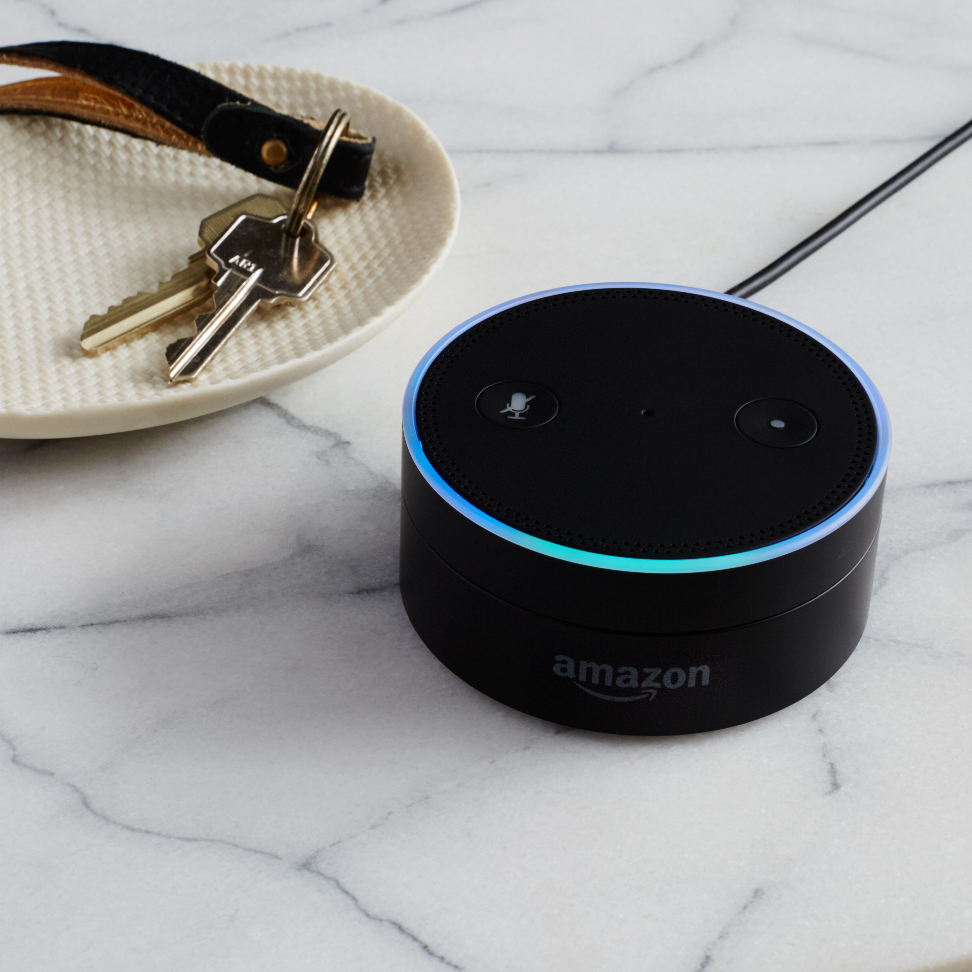 echodot_slate01_.jpg?branch=