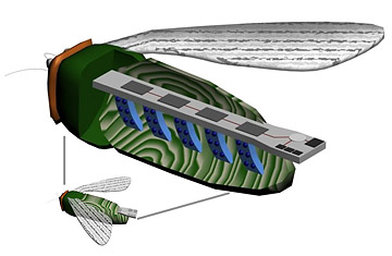 Unleashing the Bugs of War