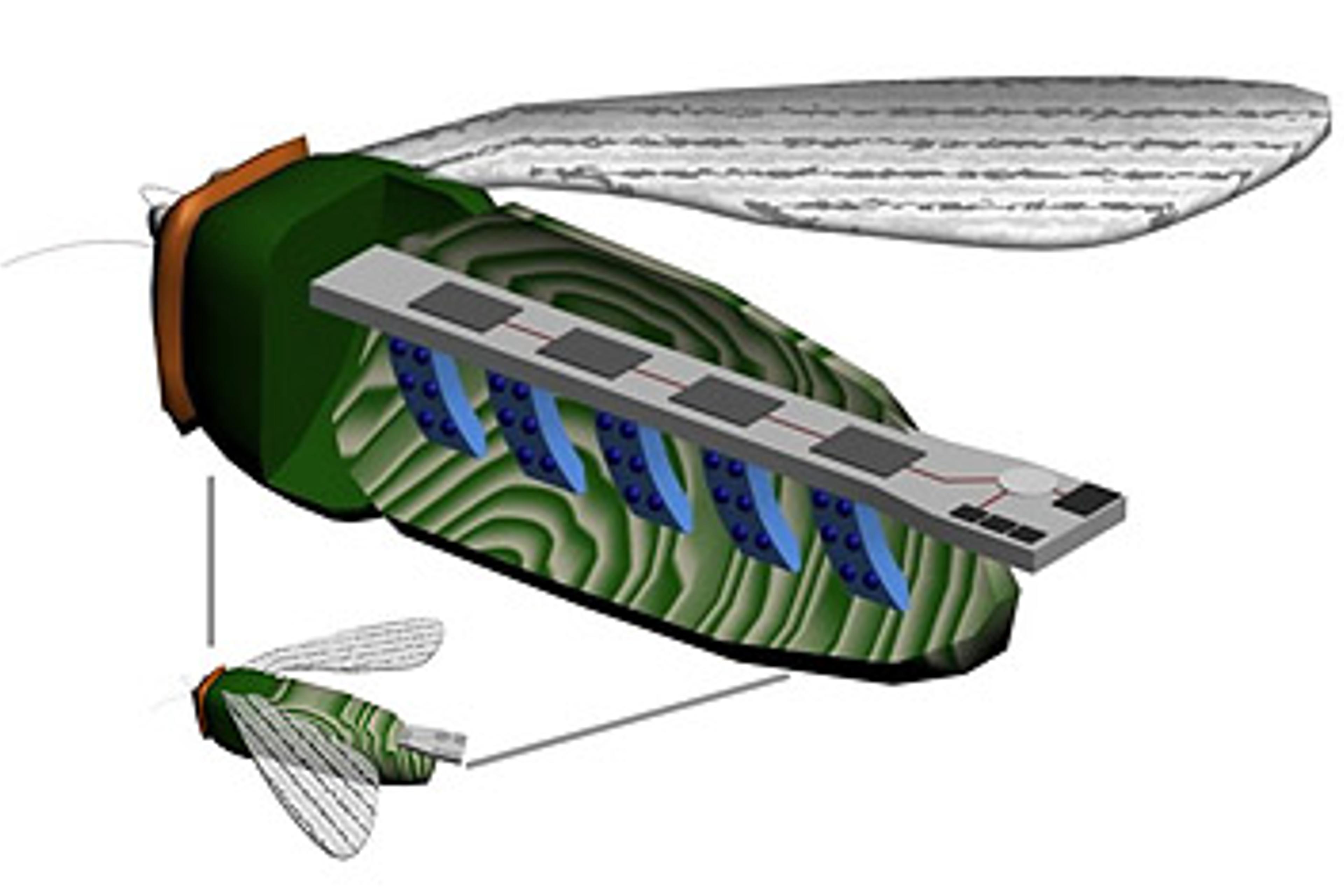 Mechline Insect Unit Unleashing the Bugs of War