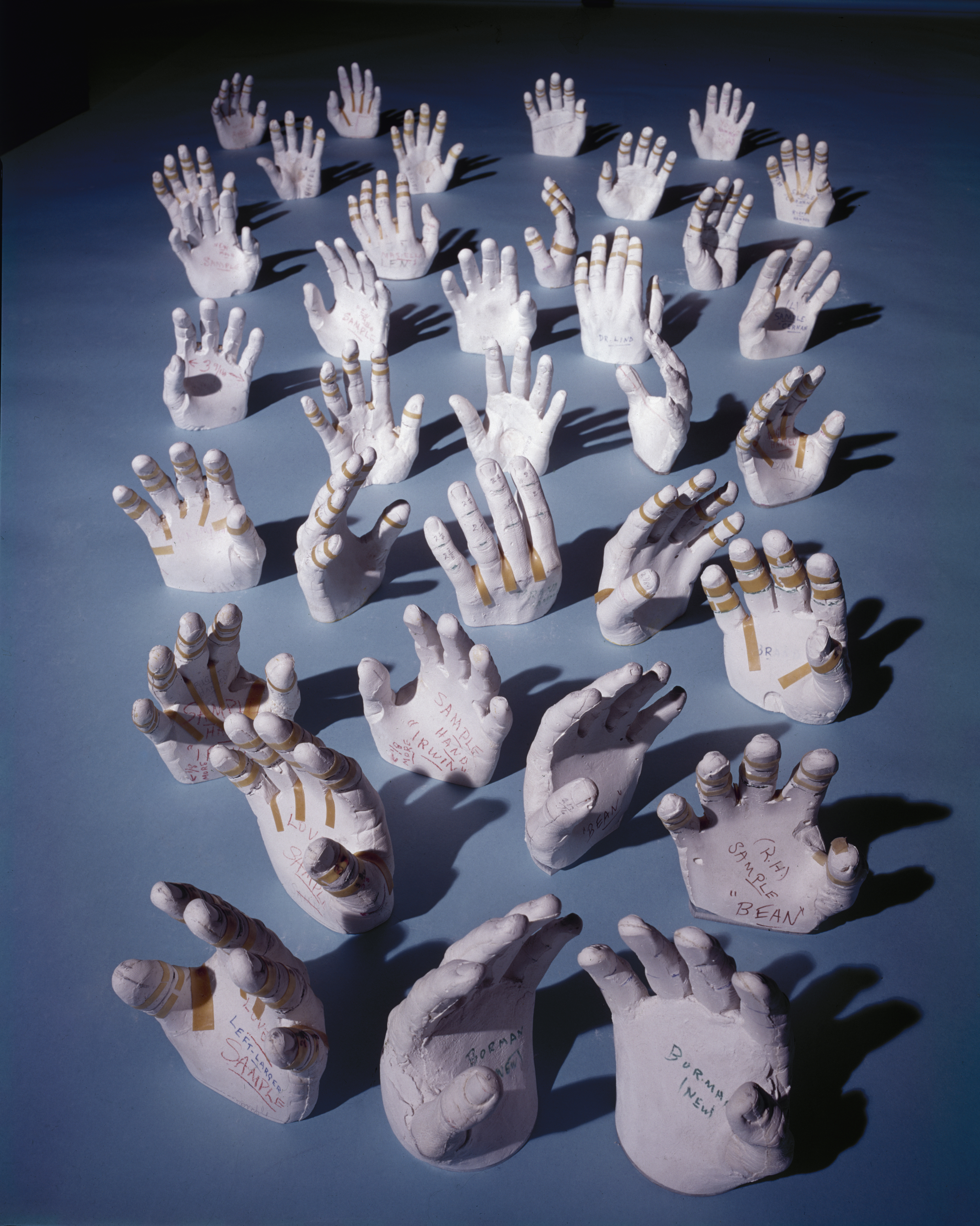 Like pale sea anemones, plaster casts of the hands of NASA astronauts -- made so that their space suits can be custom-fit for each individual -- seem to wave at nothing in Houston, Texas, in 1968.