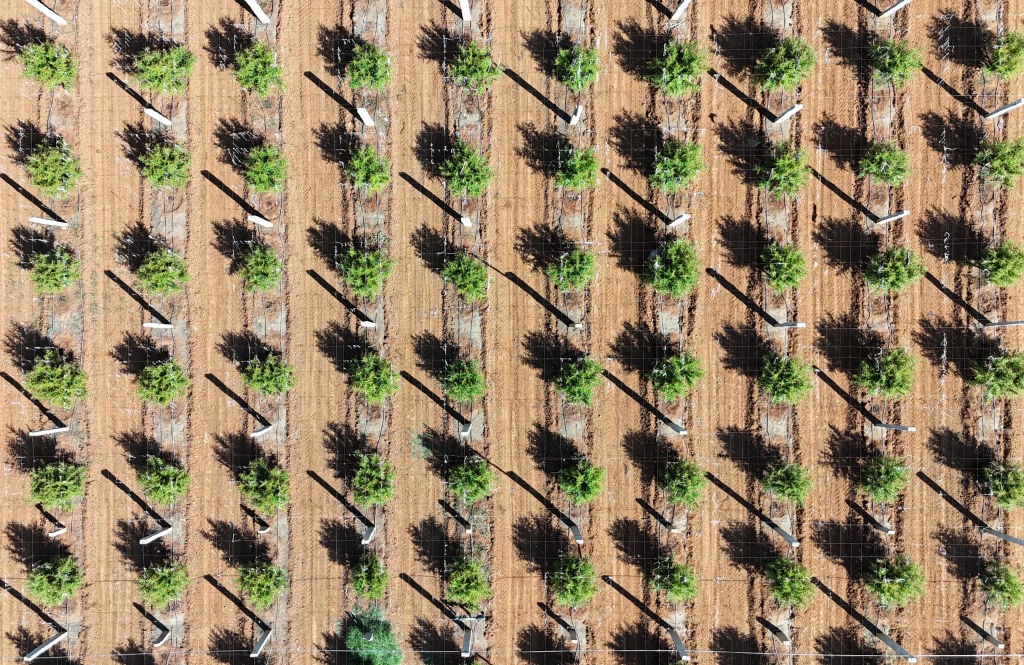 Let's Use AI to Build a Better World Rather Than Allow AI to Define Our Future