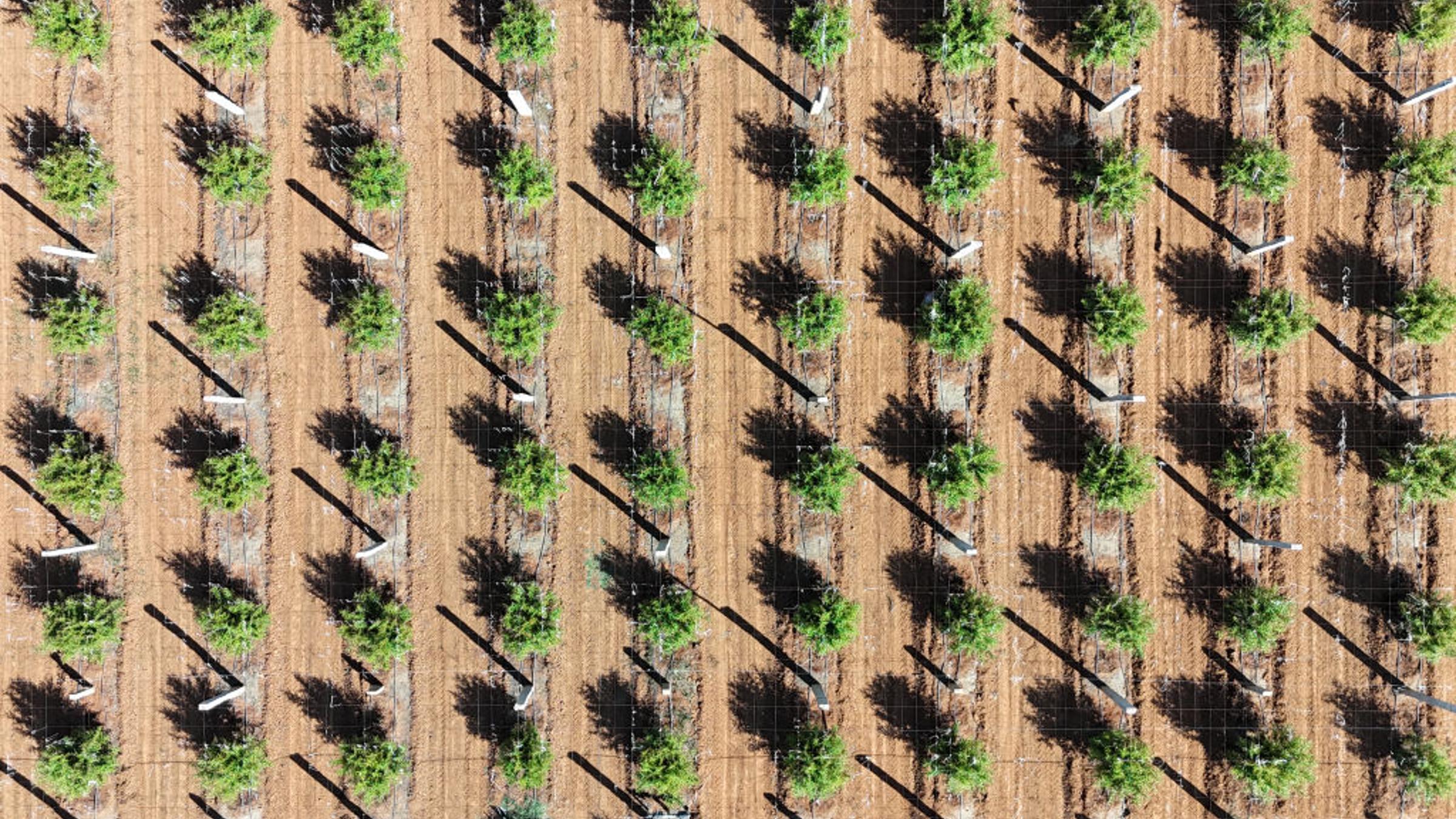 Let's Use AI to Build a Better World Rather Than Allow AI to Define Our Future