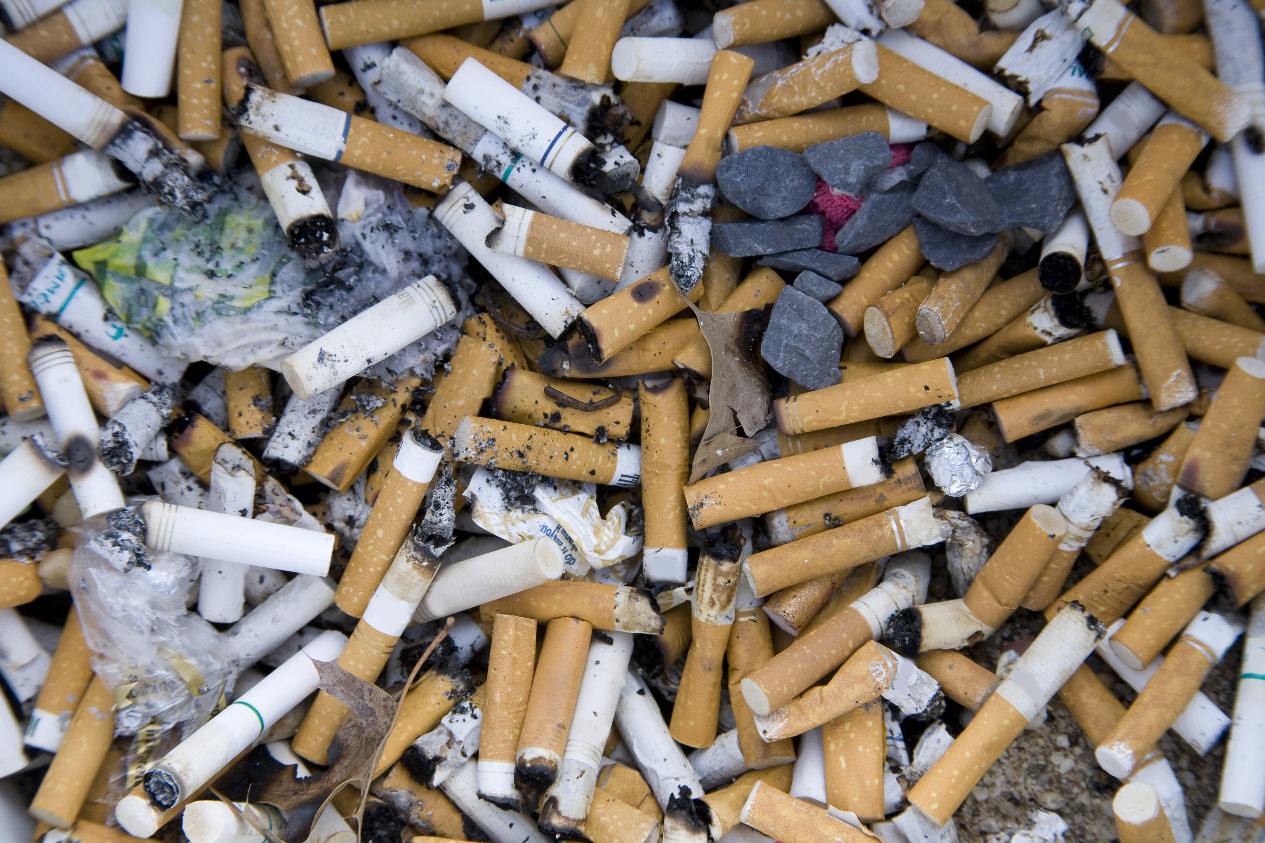 Harms of Smoking: Reports Show How Long the Message Took to Sink In