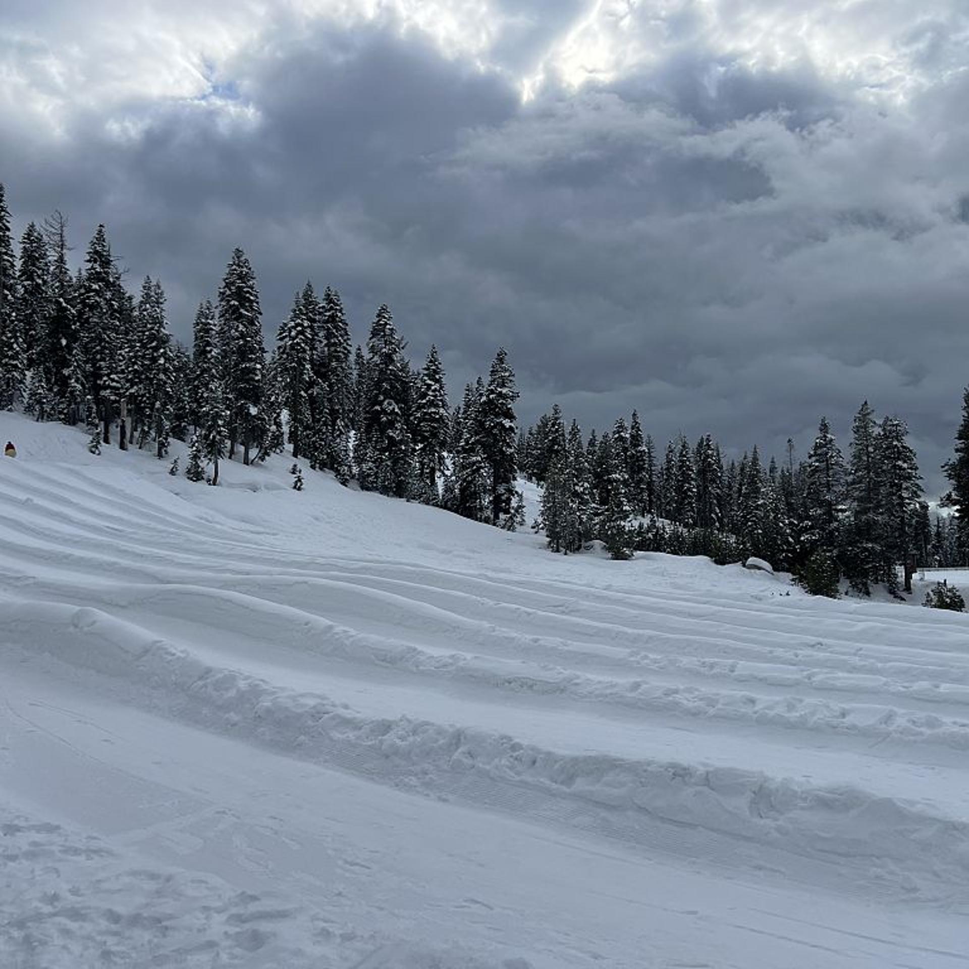 Tahoe Snow