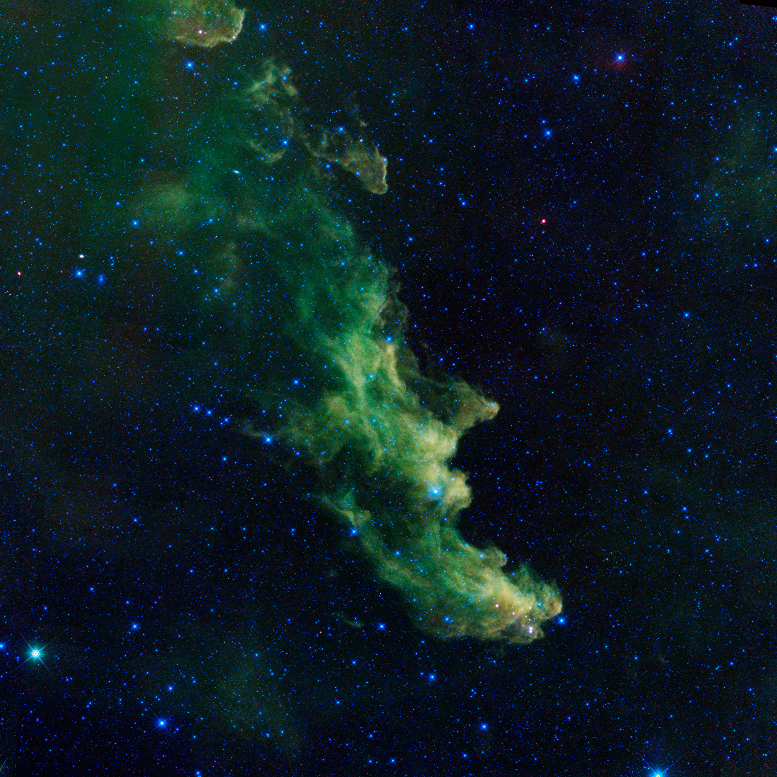 Witch Head' Brews Baby StarsA witch appears to be screaming out into space in this new image from NASA's Wide-Field Infrared Survey Explorer, or WISE. The infrared portrait shows the Witch Head nebula, named after its resemblance to the profile of a wick