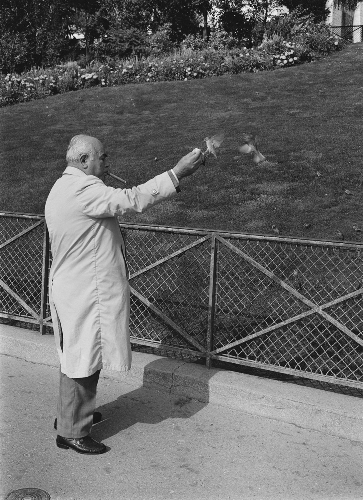 Paris In My Time: Mark Steinmetz's Homage to the City of Lights