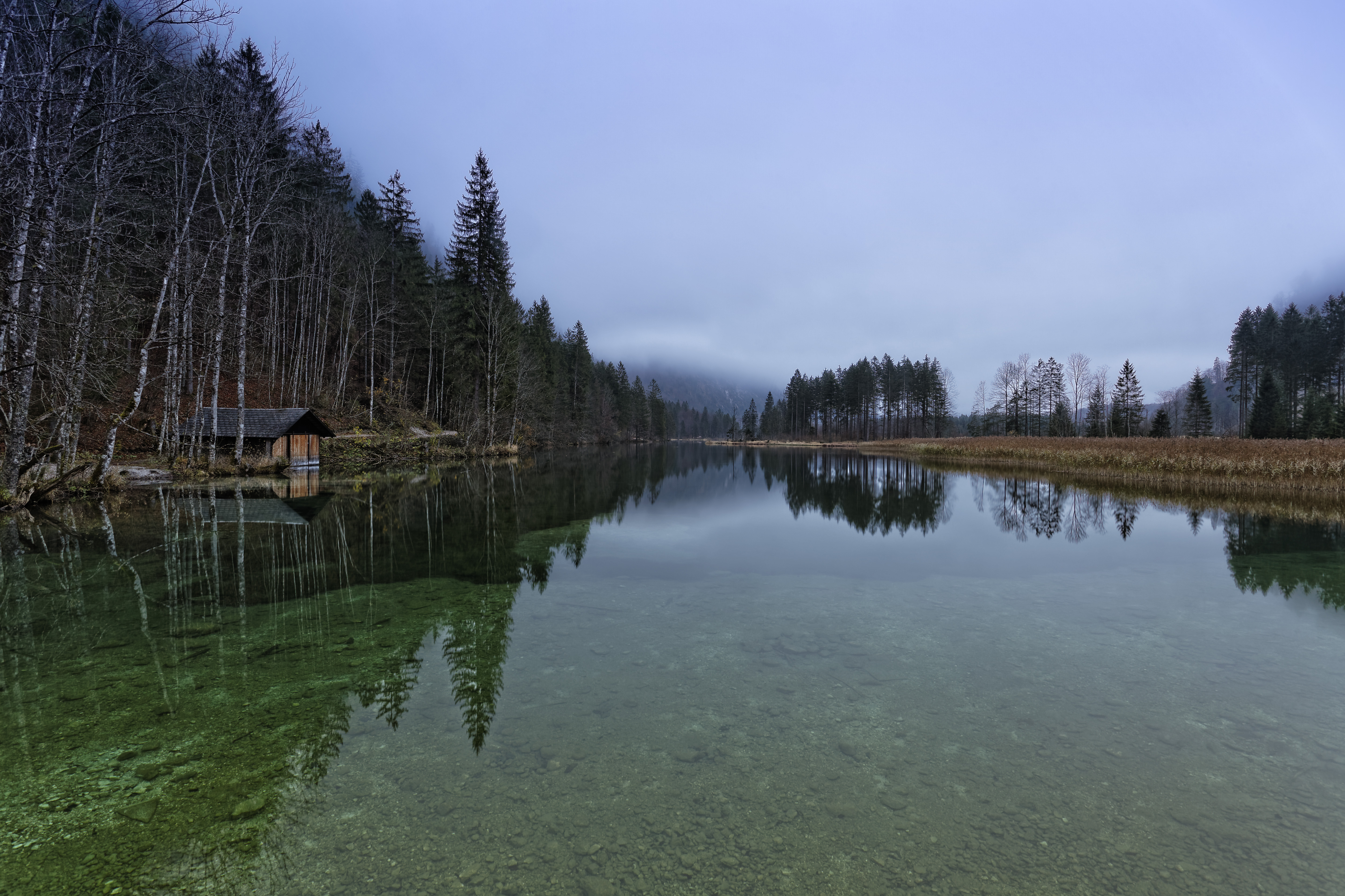 A forest and lake