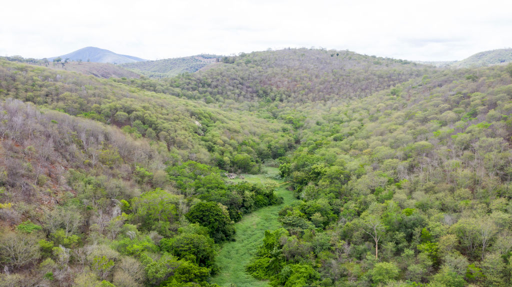 Instituto Aerial view of the reforested area next to the headquarter of the Instituto Terra at the beginning of the raining season on Nov. 22, 2019 in Aimorés, Brazil. Reforests Barren Atlantic Forest Portion