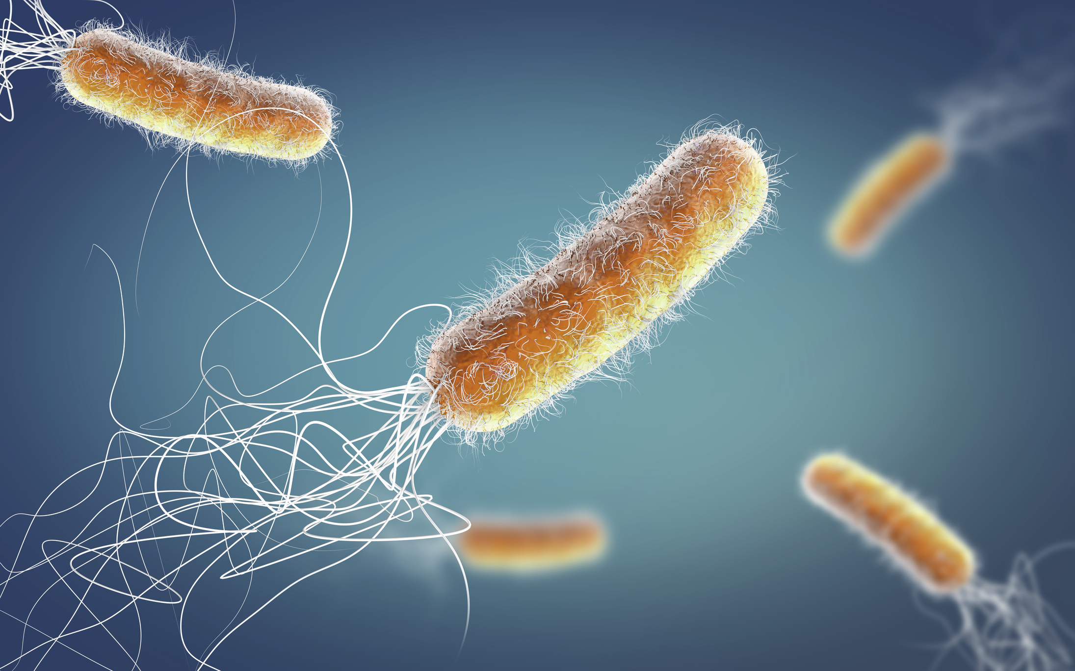 Superbug