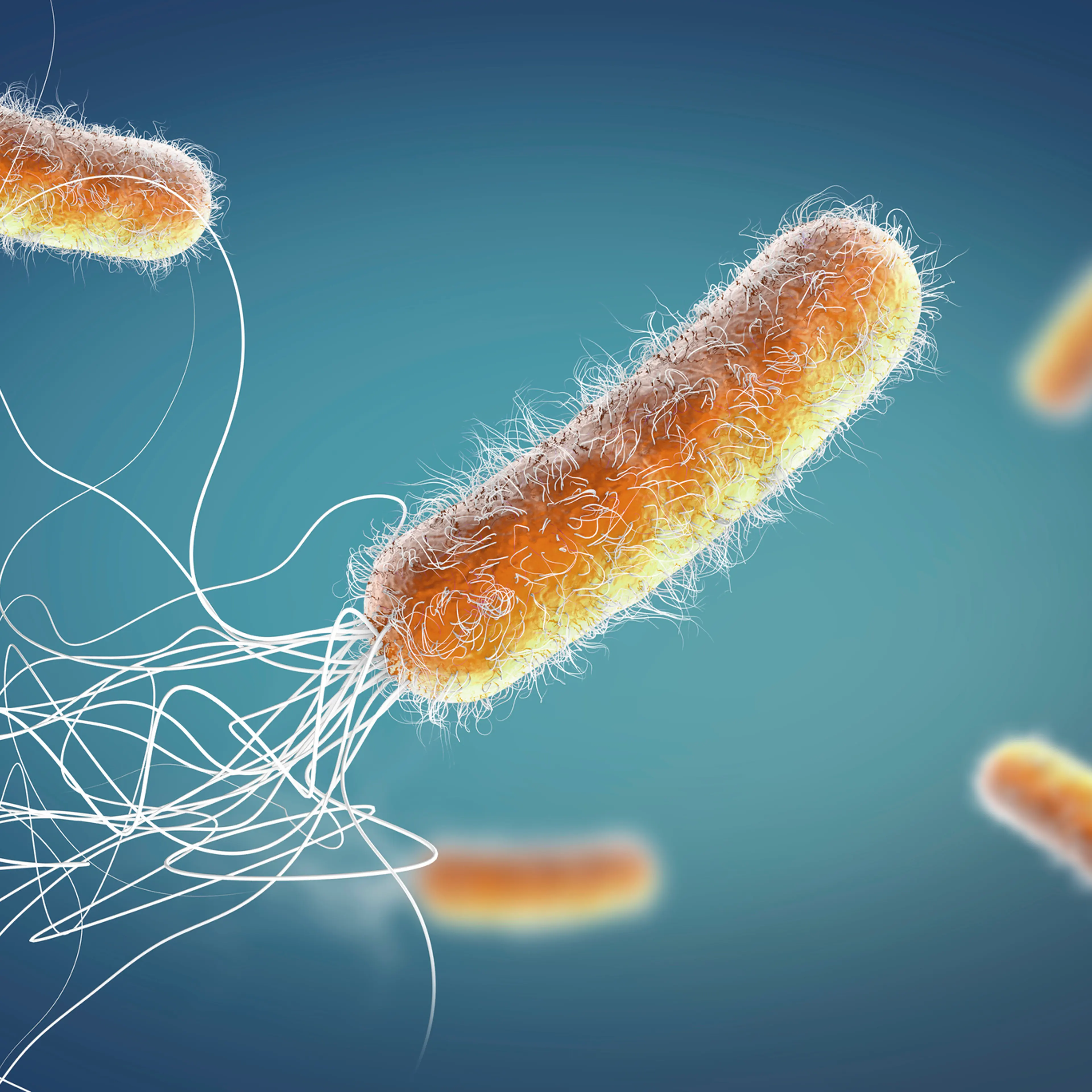 Superbug