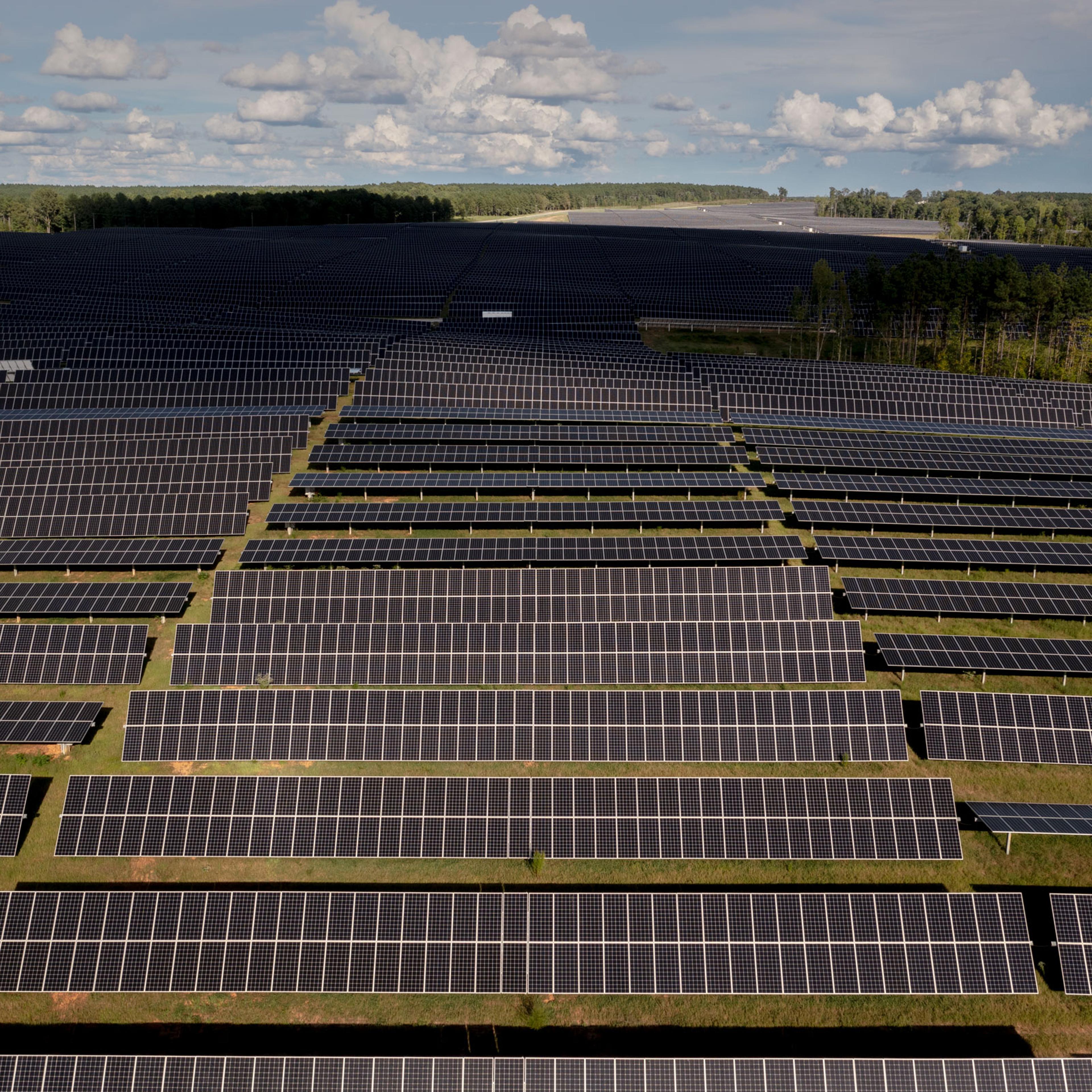 Solar panels line the 526 acre plot at Hawtree Creek in North Carolina, recently acquired by Amazon.
