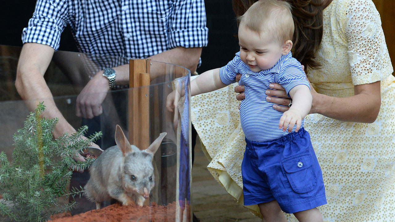 The Duke And Duchess Of Cambridge Tour Australia And New Zealand - Day 14