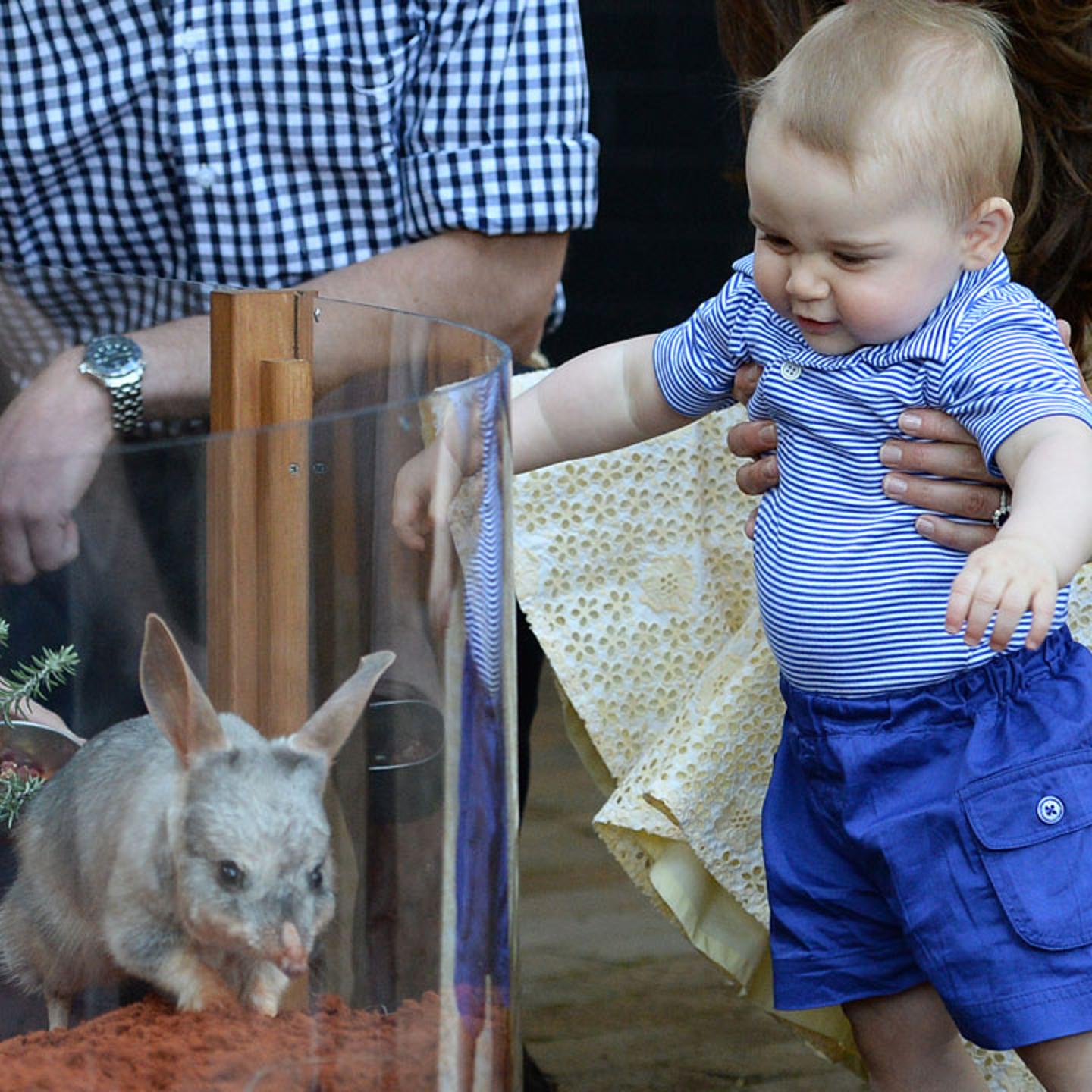 The Duke And Duchess Of Cambridge Tour Australia And New Zealand - Day 14