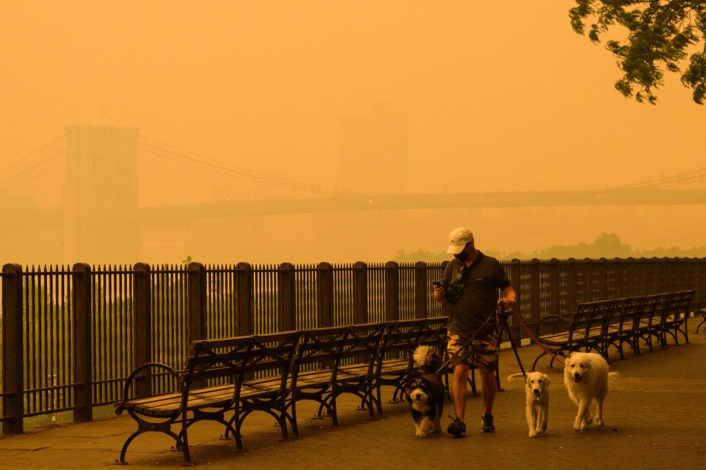 Wildfire smoke in New York City