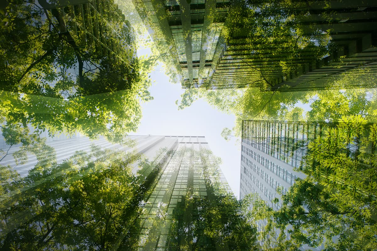 Beautiful view of Sustainable Appliance Cost Comparison