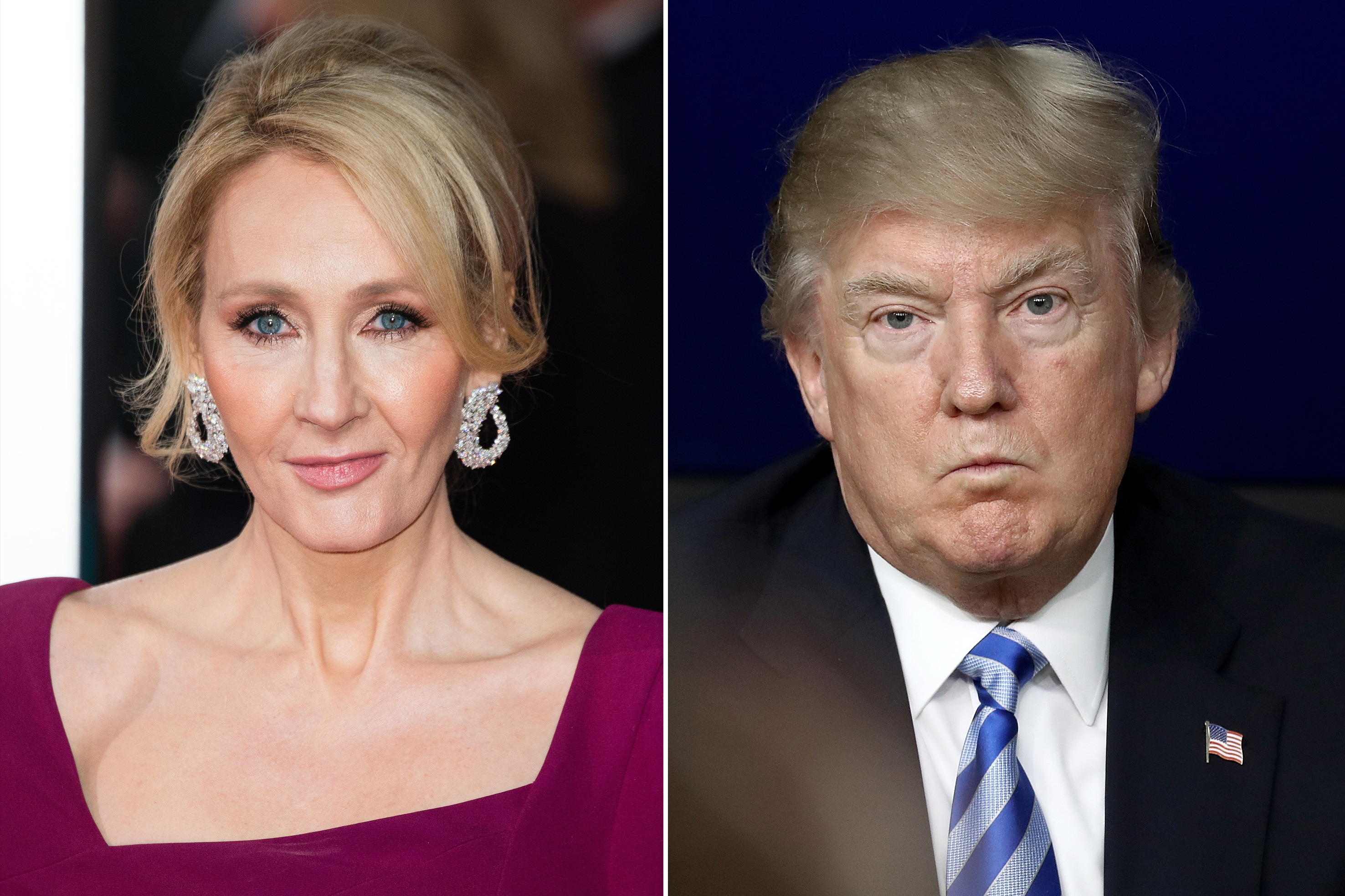 Hillary Clinton Donald Trump Harry Potter 36 Lady De Rothschild