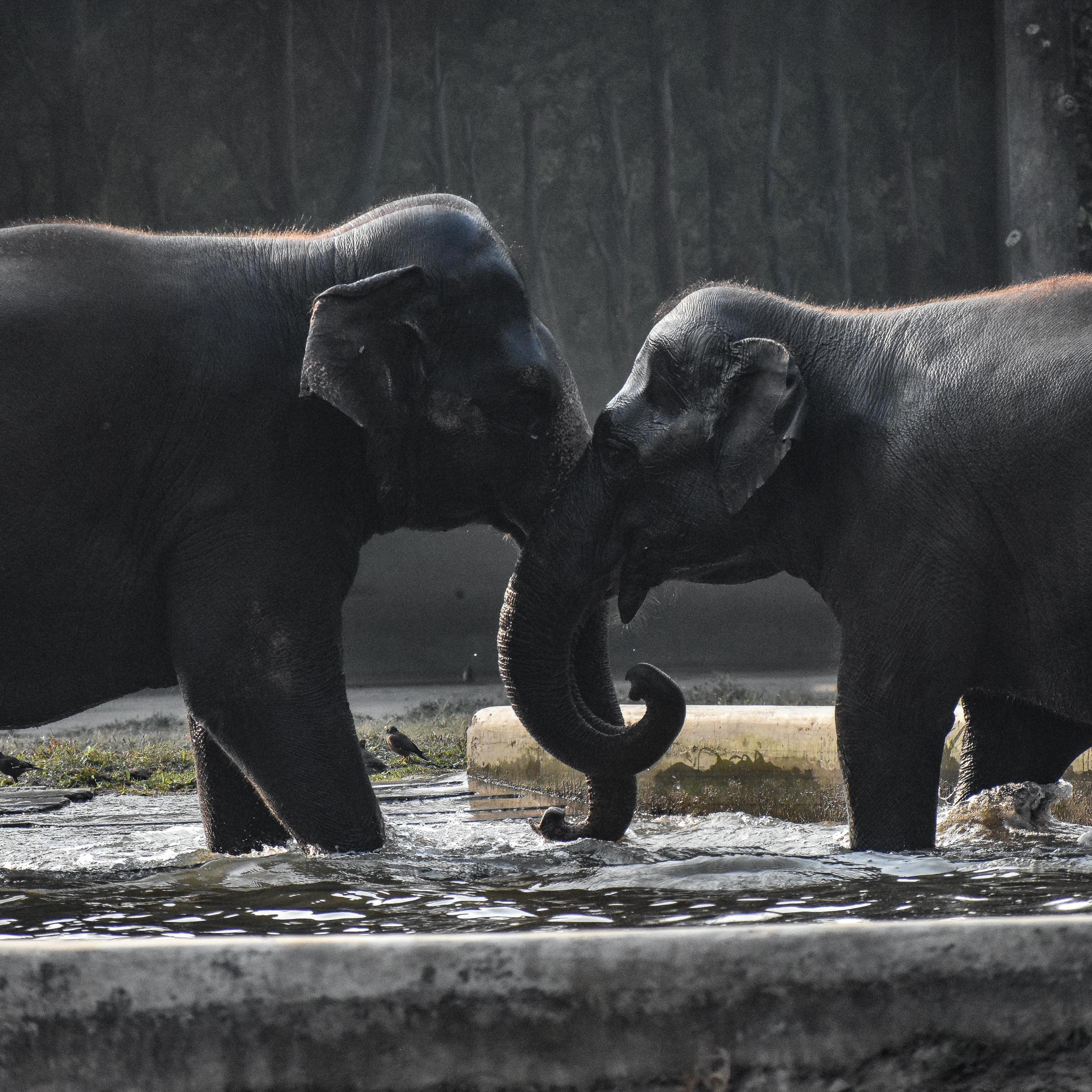 Daily Life In India.