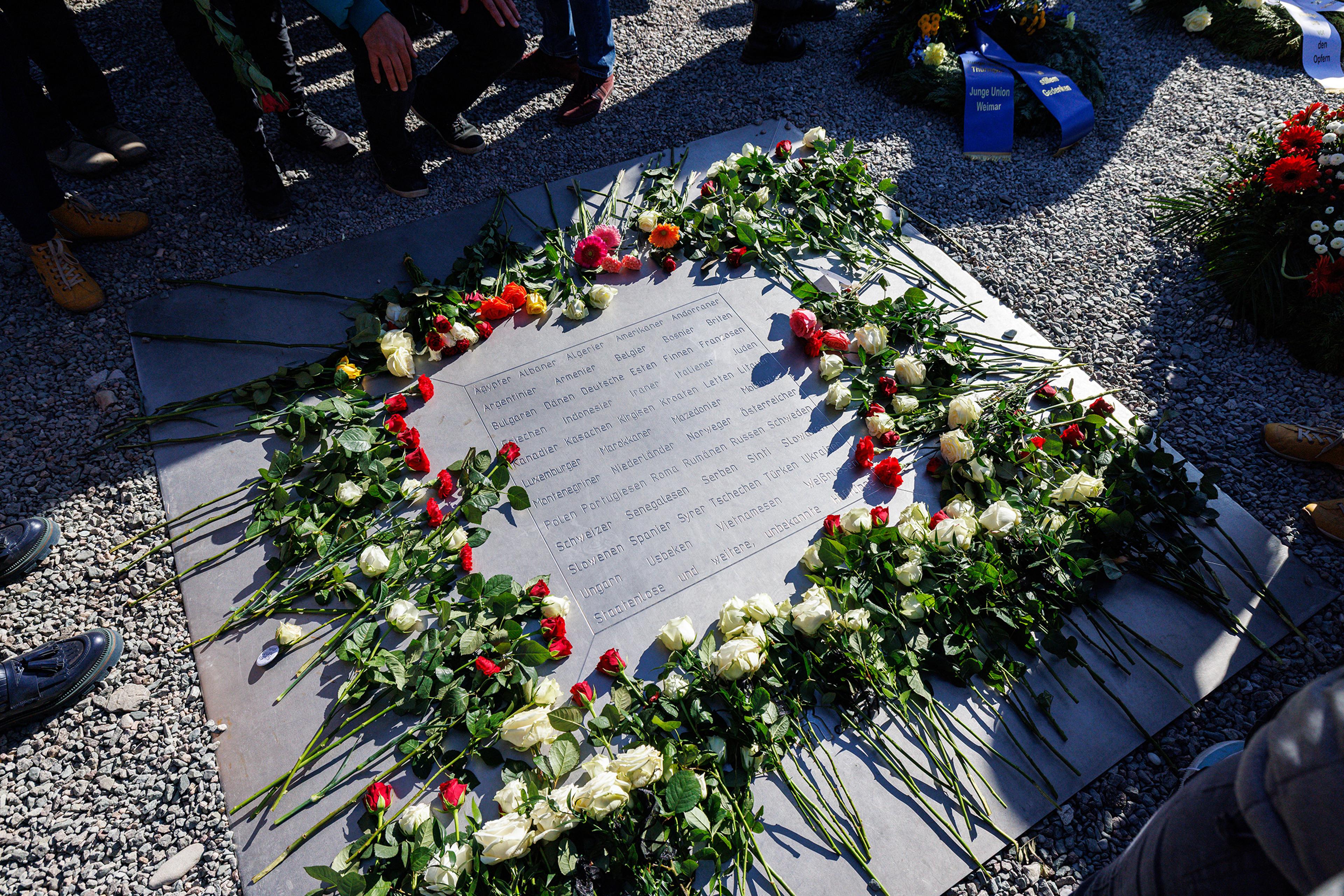 Nazi Flower What We Can Learn From Studying the Holocaust