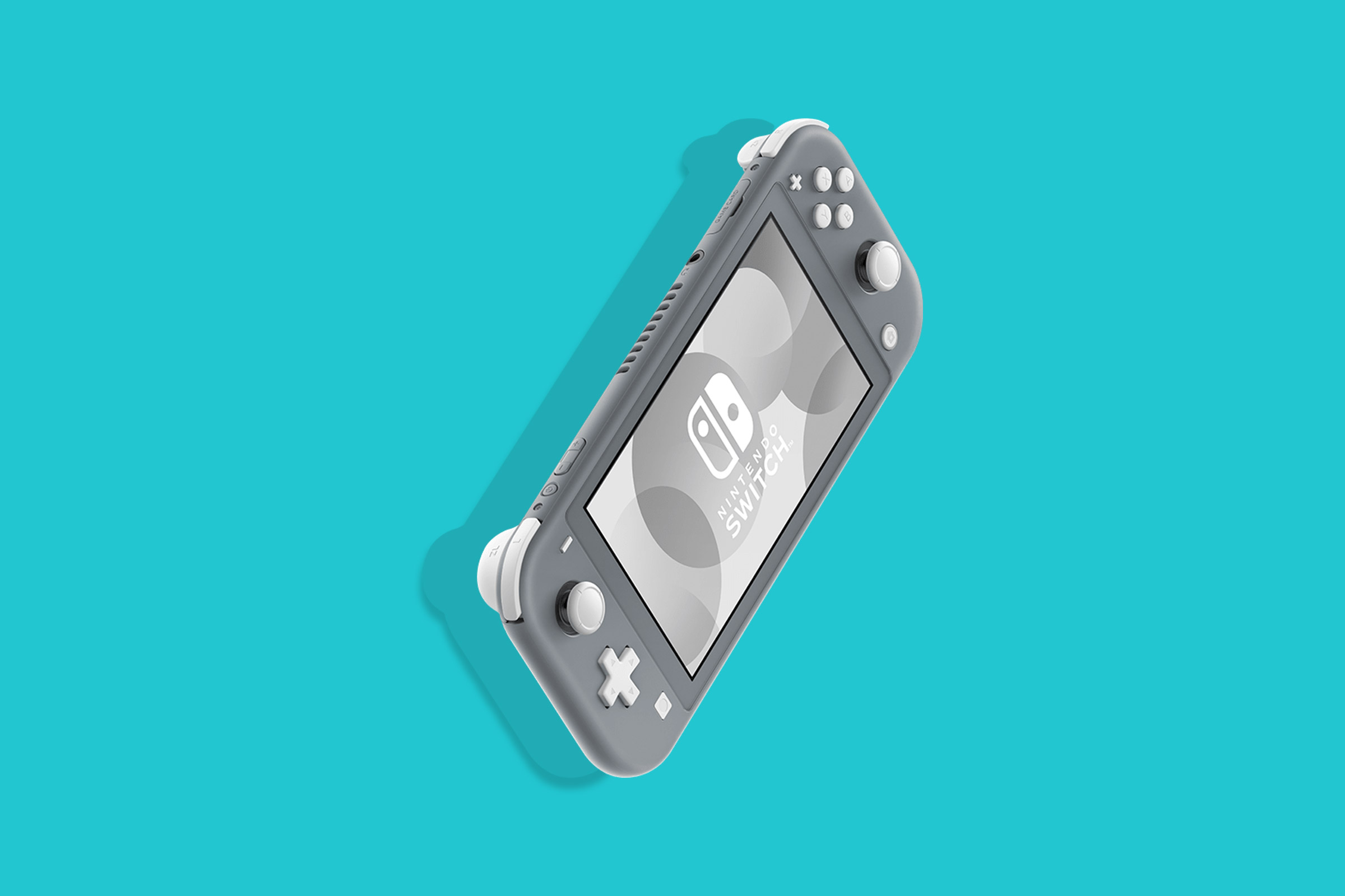 Nintendo Switch Lite グレー Nintendo Switch Lite グレー 本体+AC
