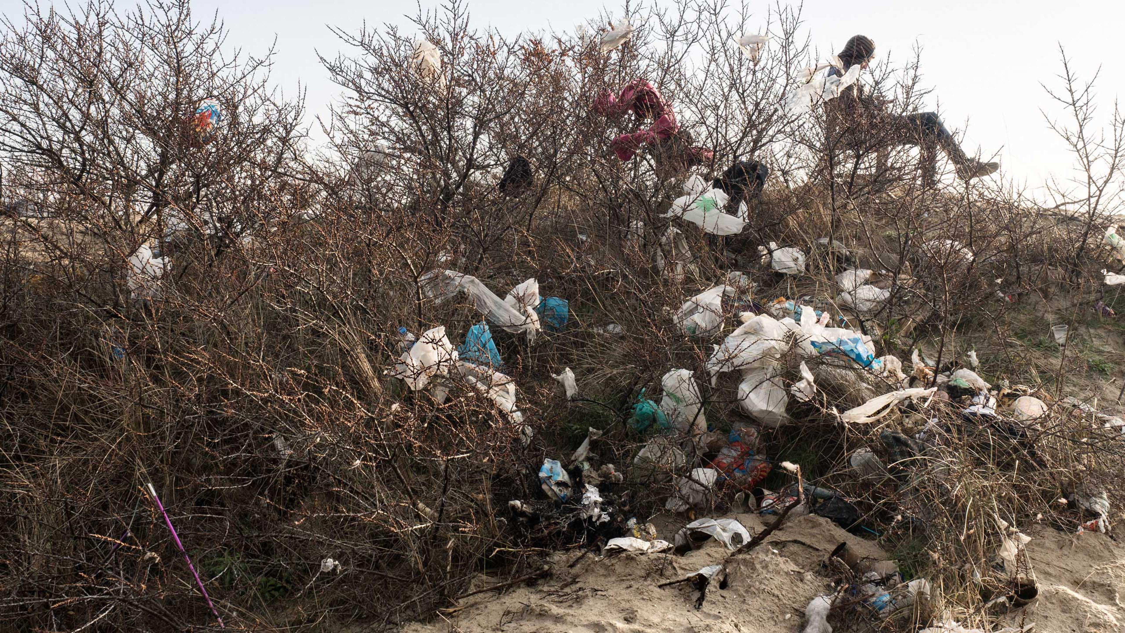 Trash collects on trees in the "jungle" of Calais, France, Jan. 20, 2016.