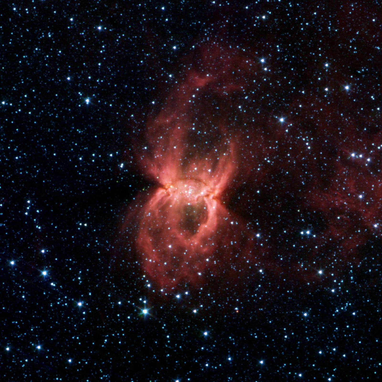 Black Widow Nebula Hides in the DustIn this Spitzer image, the two opposing bubbles are being formed in opposite directions by the powerful outflows from massive groups of forming stars. The baby stars can be seen as specks of yellow where the two bubble