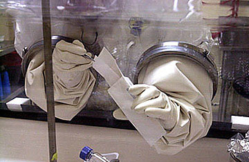How Solid Is the Anthrax Evidence?