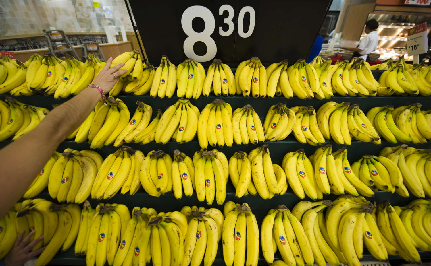 Bananas are increasingly popular around the world, but they're vulnerable to a new disease