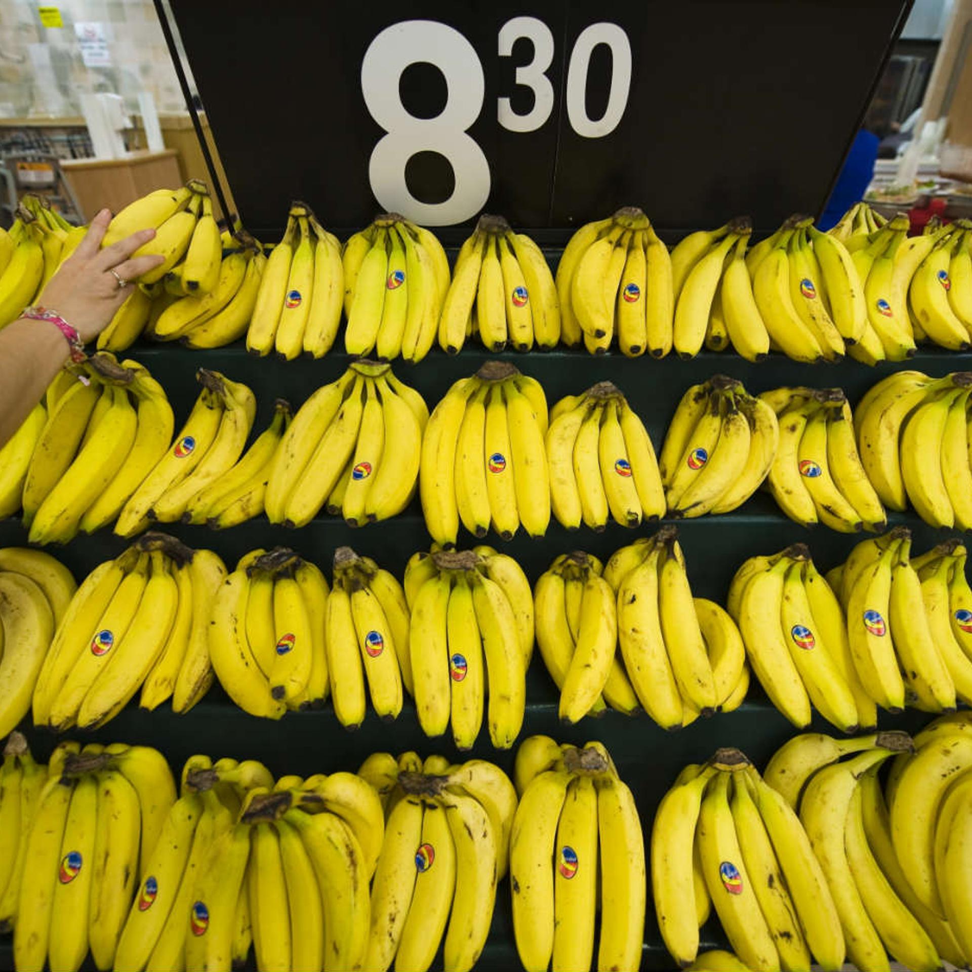 Bananas are increasingly popular around the world, but they're vulnerable to a new disease