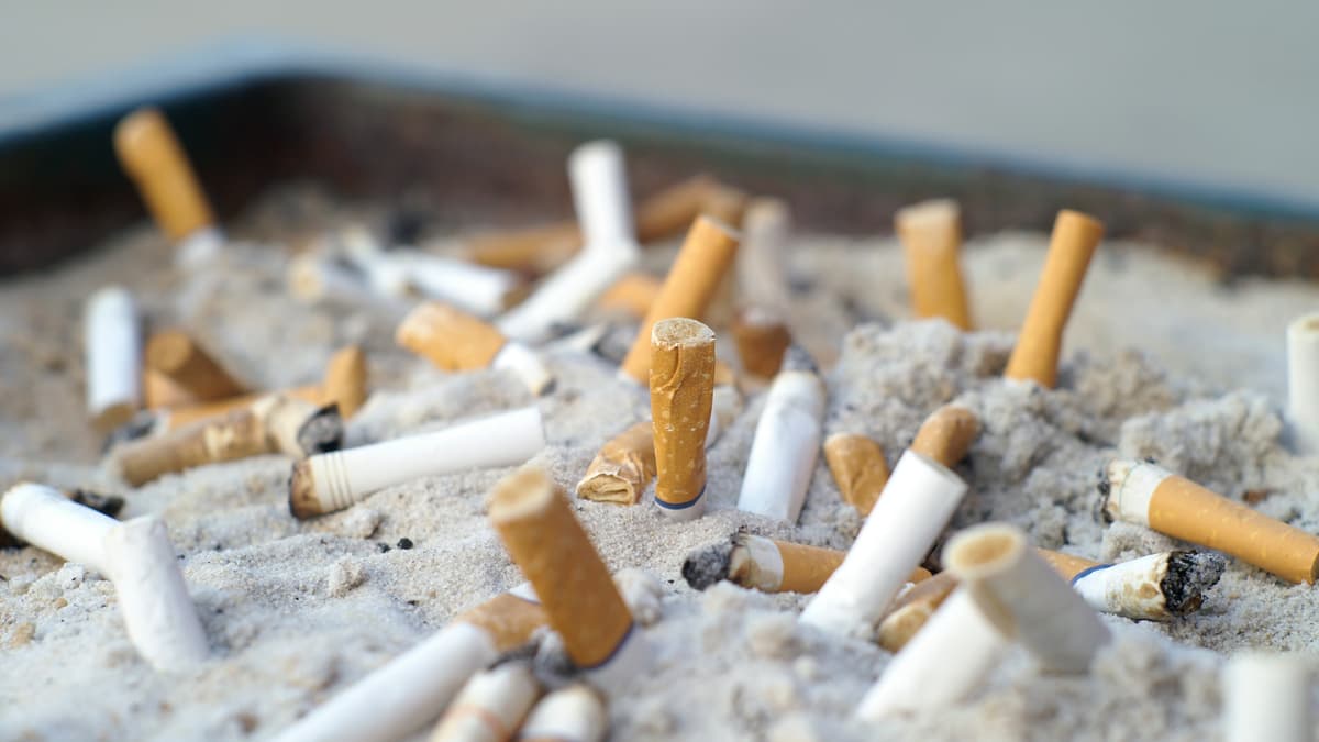 tanzania cigarette company share price Tanzania Cigarette Company Limited (TCC.tz) 2013 Abridged Report