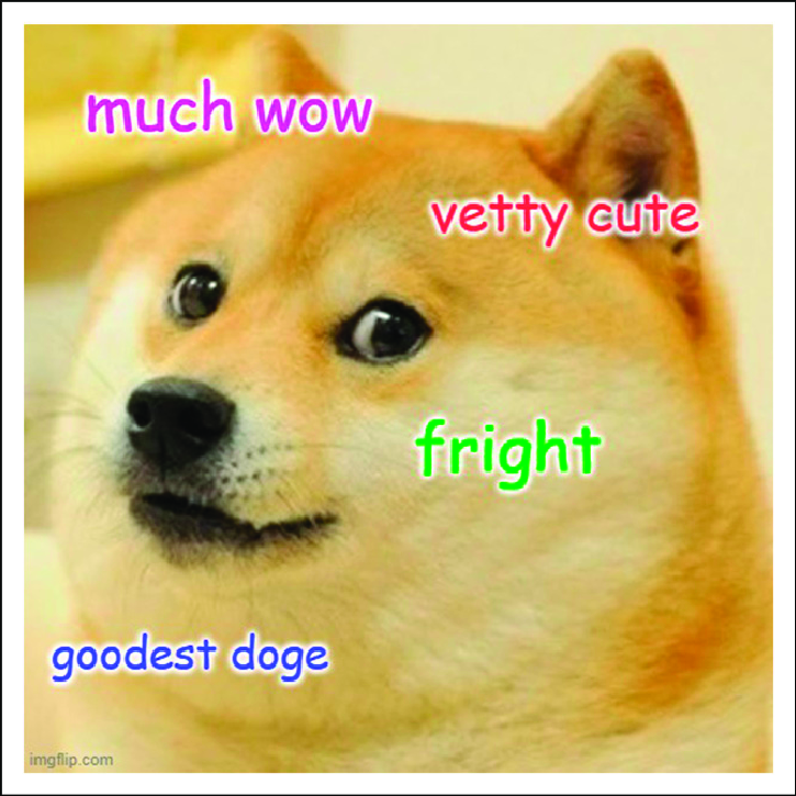 An example of a doge meme.