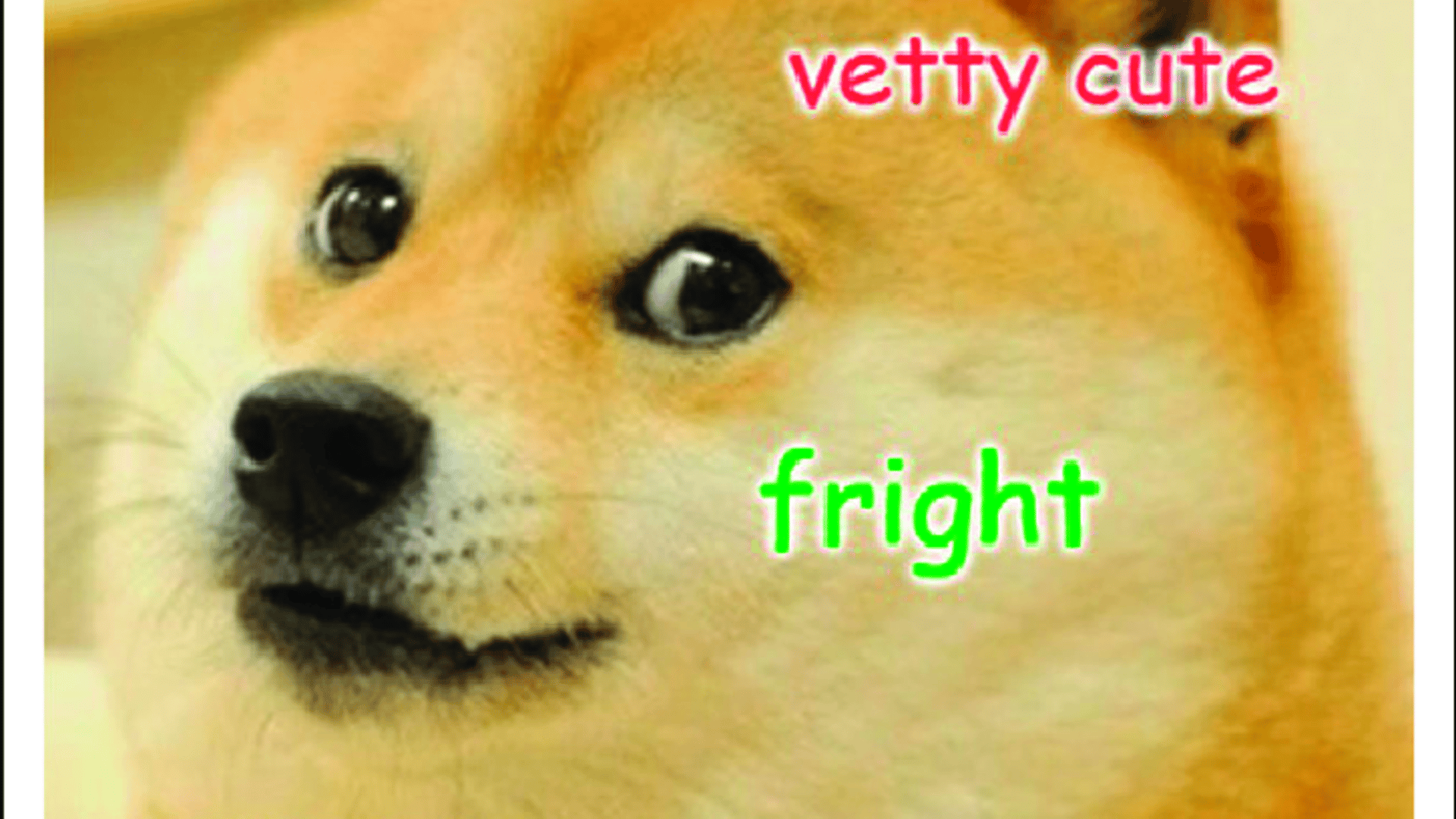 An example of a doge meme.