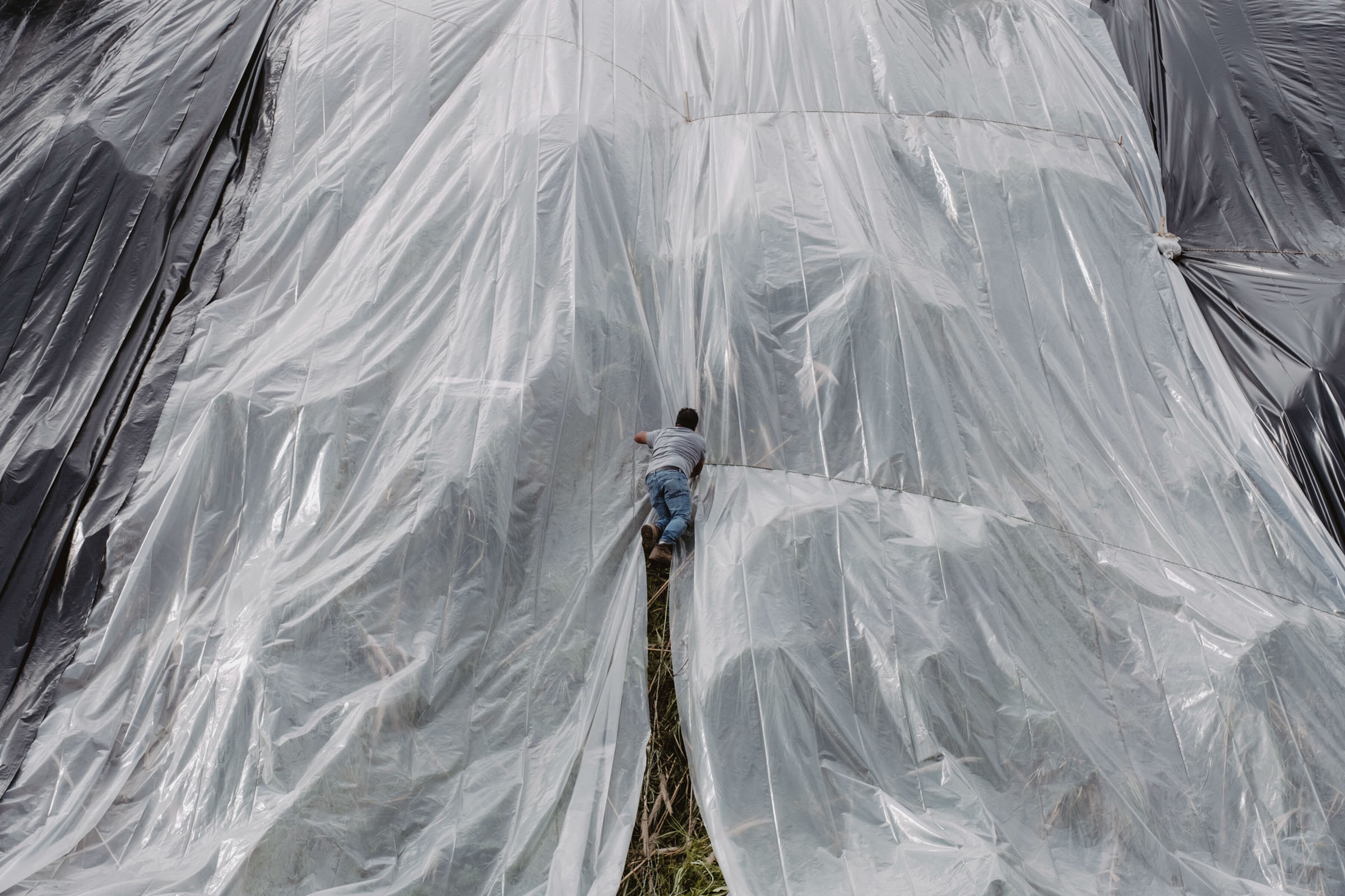 Workers put down large plastic tarps to cover the side of a hill in the Baldwin Hills neighborhood of Los Angeles on Sunday, Feb. 18, 2024, in preparation for heavy rains and potential flooding. (Mark Abramson/The New York Times)