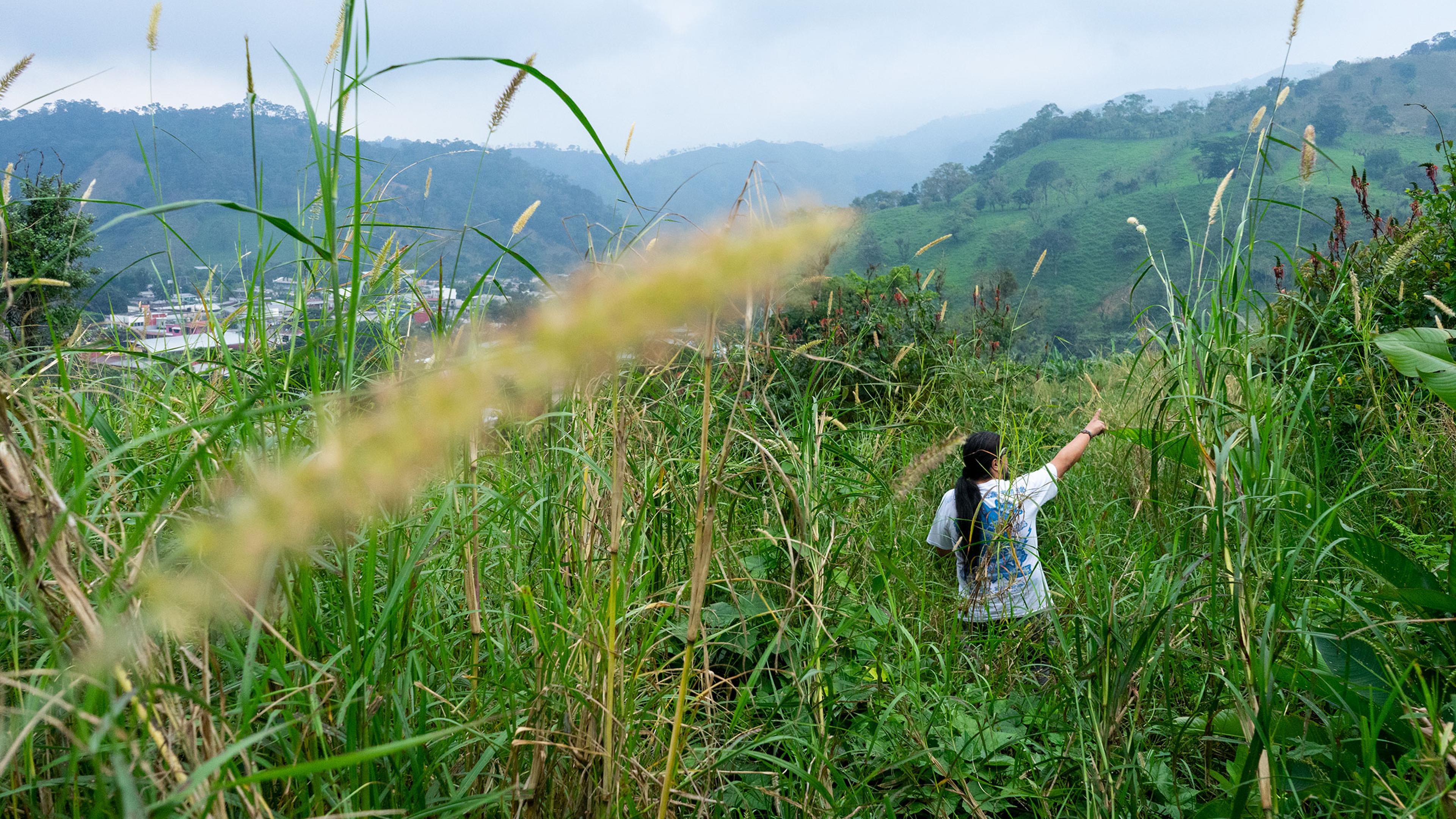 Madre Tierra: Indigenous Environmental Defenders in Latin America Are Fighting For Their Land Madre Tierra: Indigenous Environmental Defenders in Latin America Are Fighting For Their Land