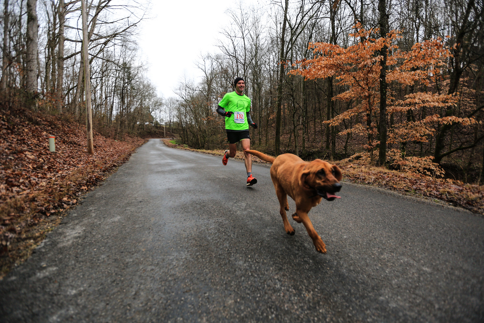 Dog Runs Alabam Half Marathon, Places Seventh