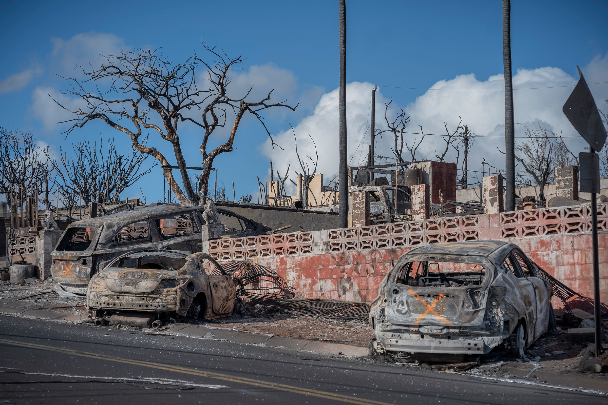 maui-fires-hawaii-recovery.jpg