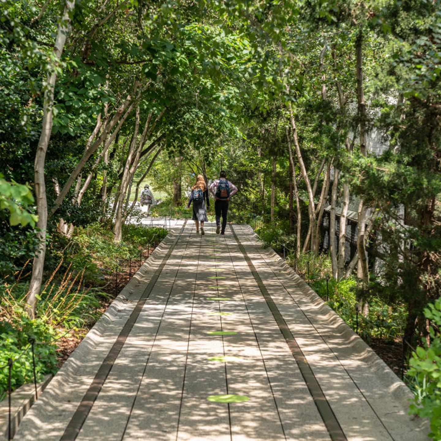 High Line Park