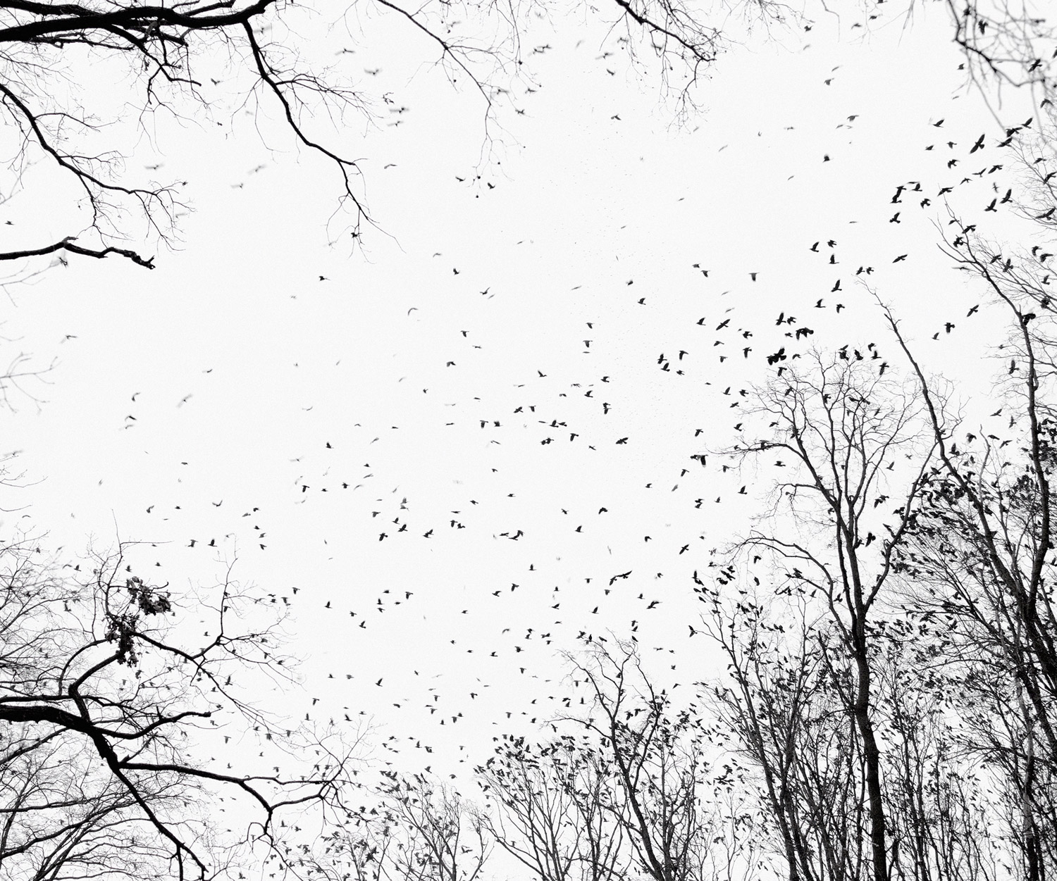 Here, Anywhere—Tamas Dezso