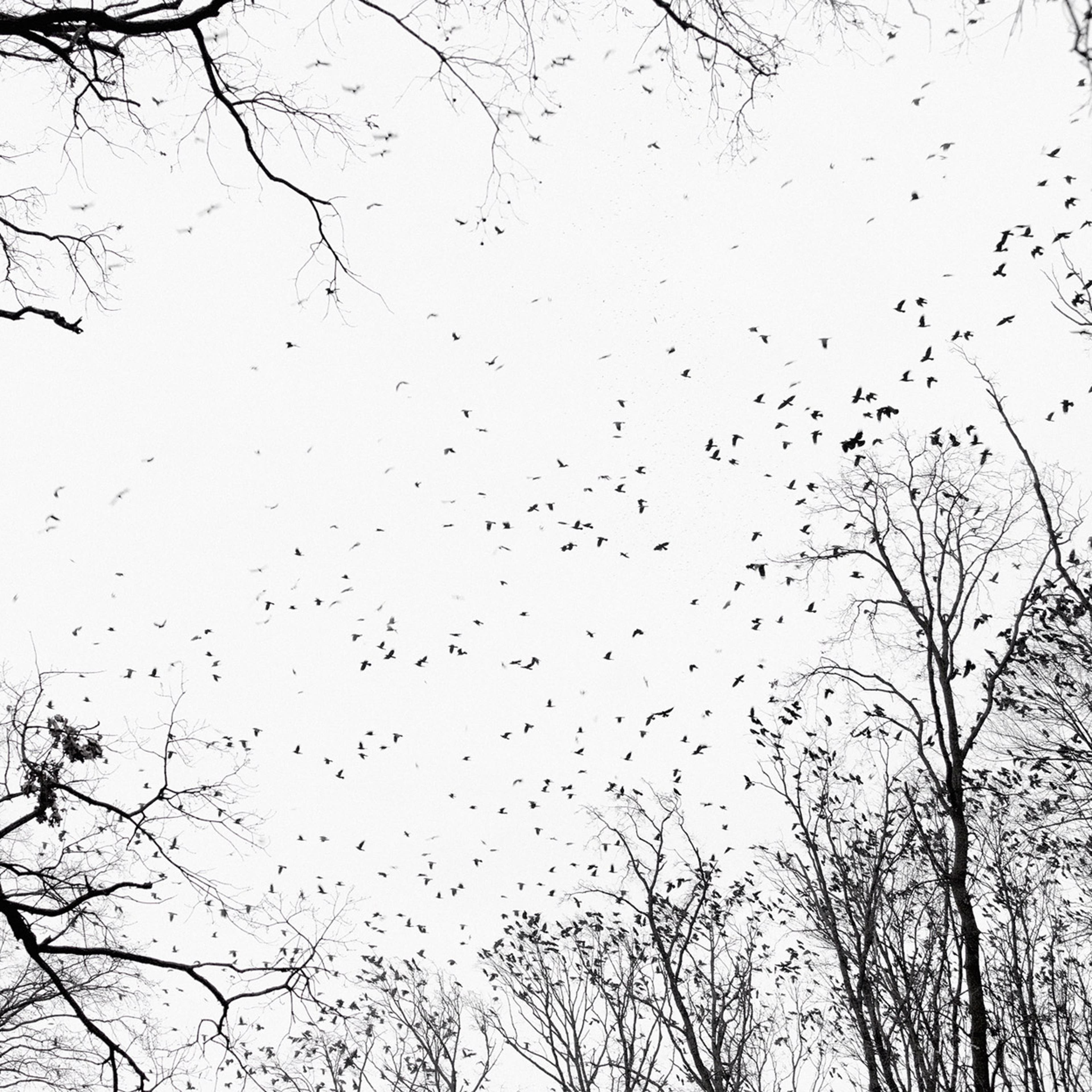 Here, Anywhere—Tamas Dezso