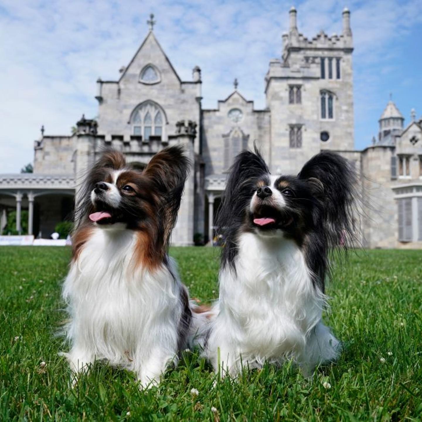 US-LIFESTYLE-WESTMINSTER