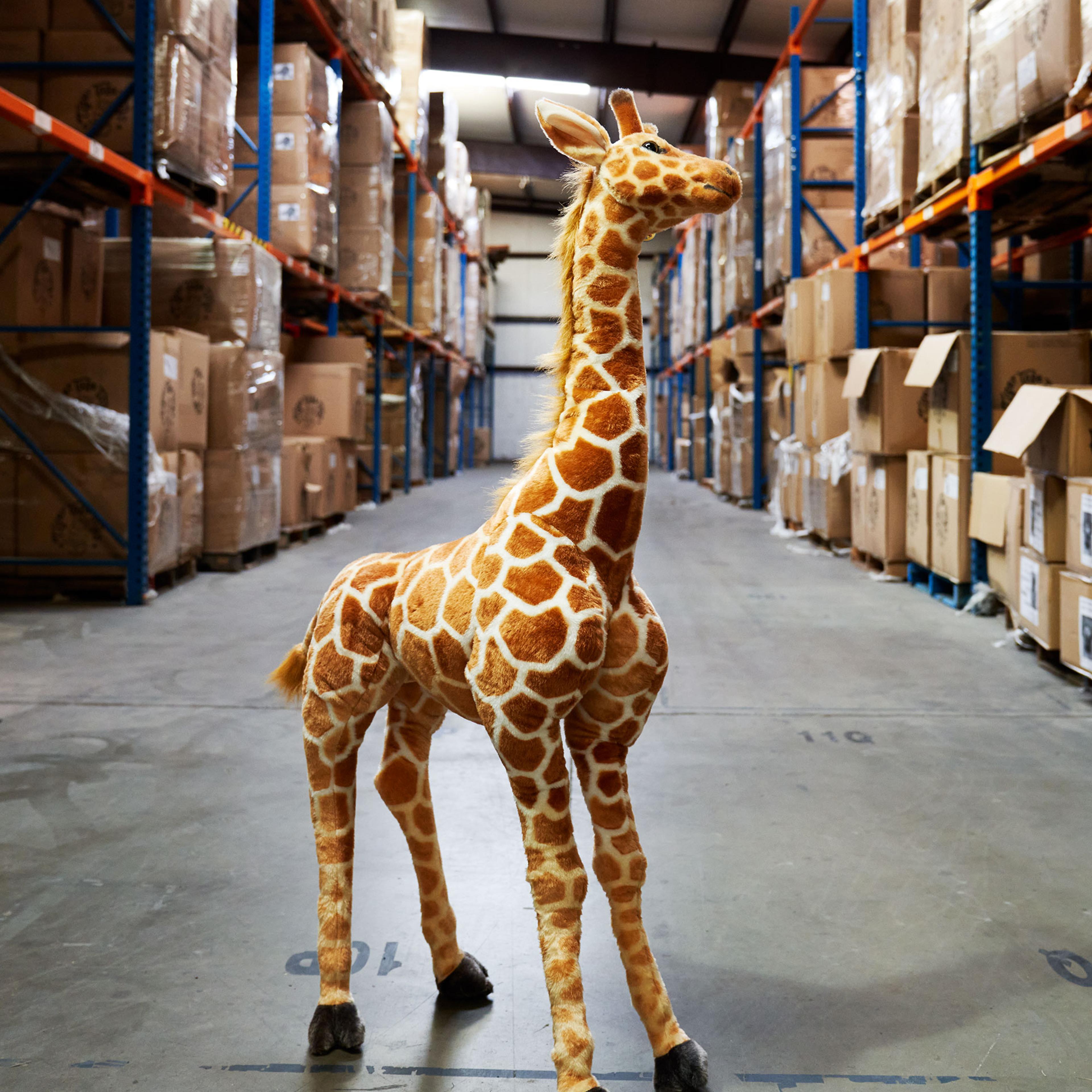 inflation jani the giraffe