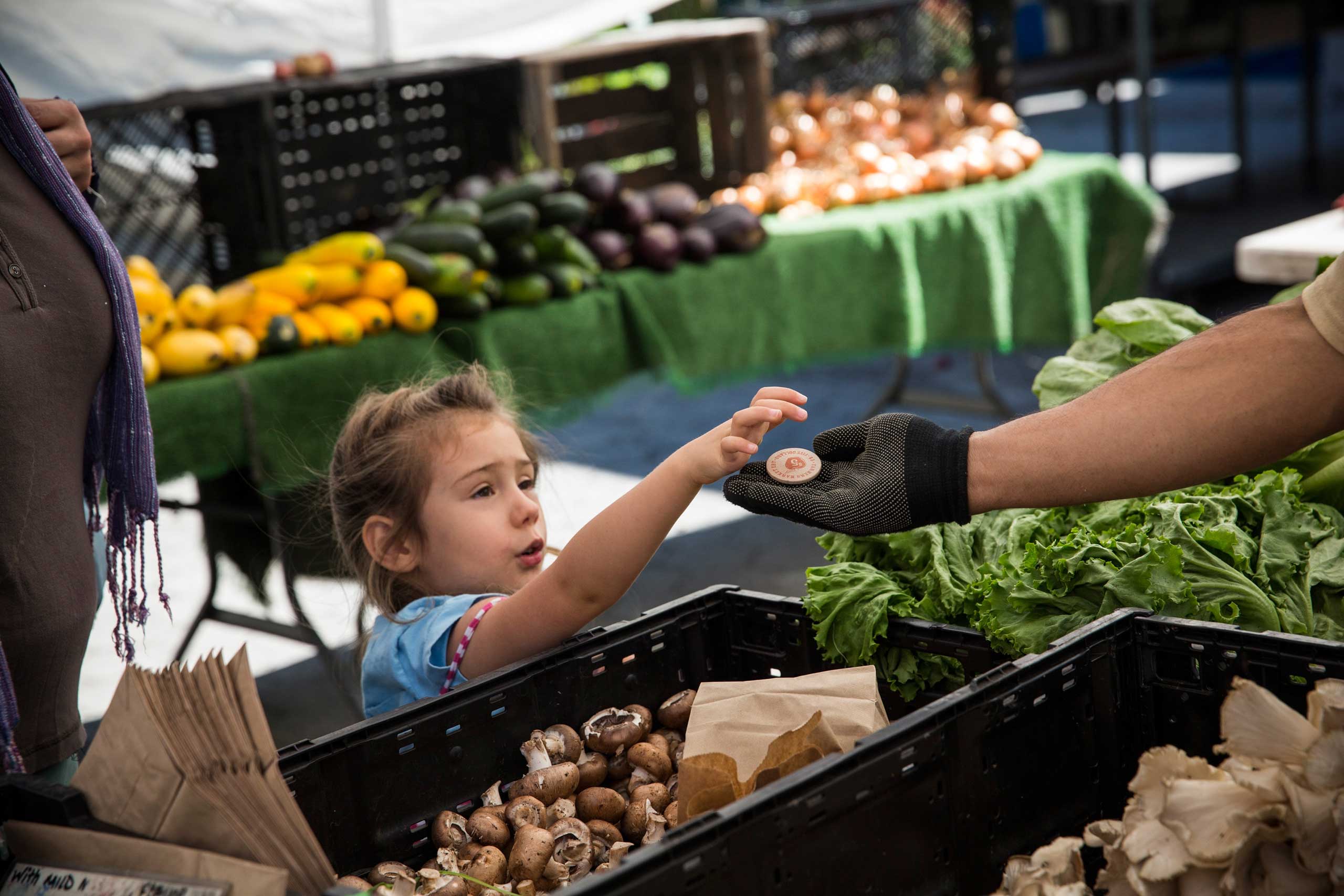A girl pays for her mother's groceries using Electronic Benefits Transfer tokens, more commonly known as Food Stamps, at the GrowNYC Greenmarket in Union Square in New York in 2013.
