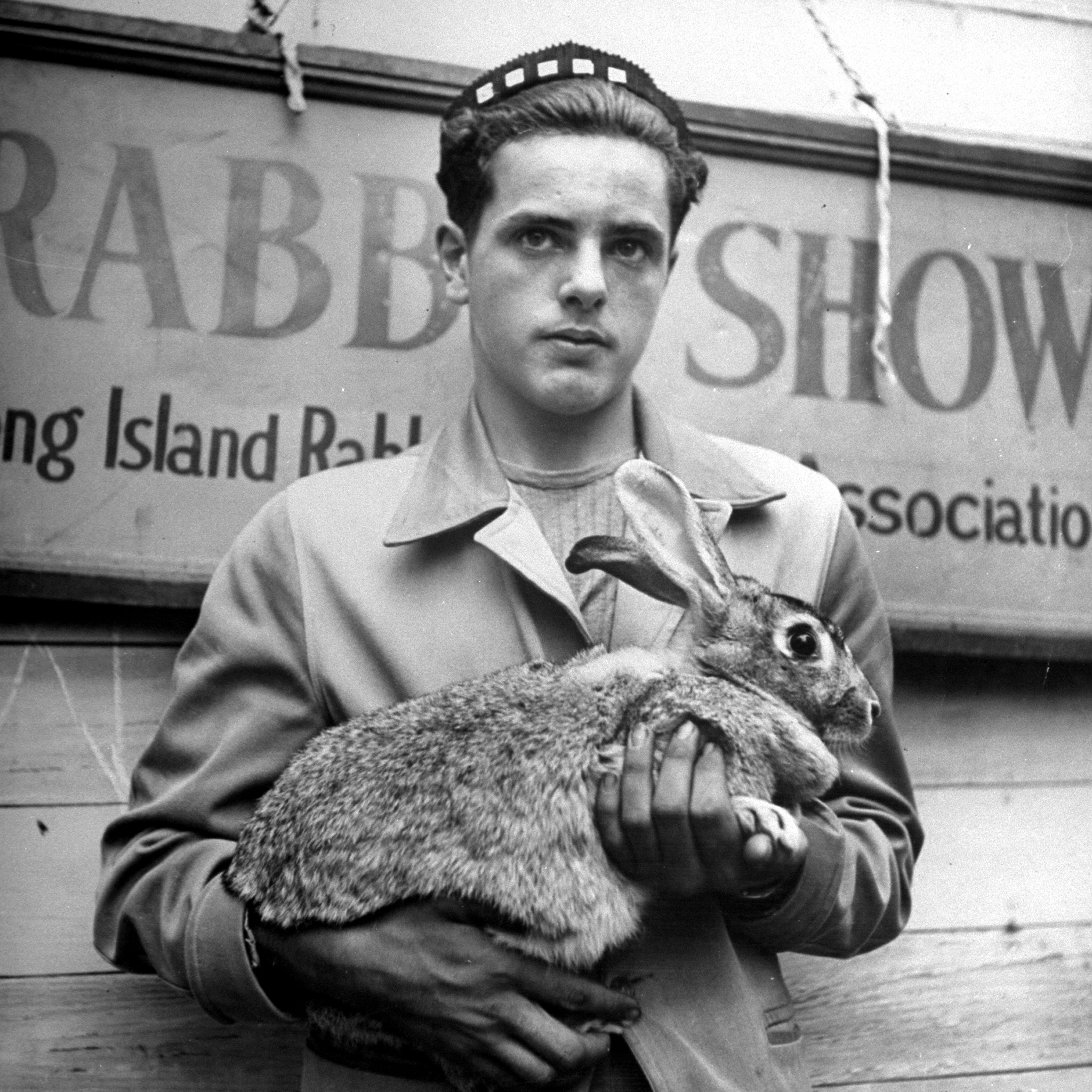 Easter Rabbit Pictures From LIFE Magazine's Archives